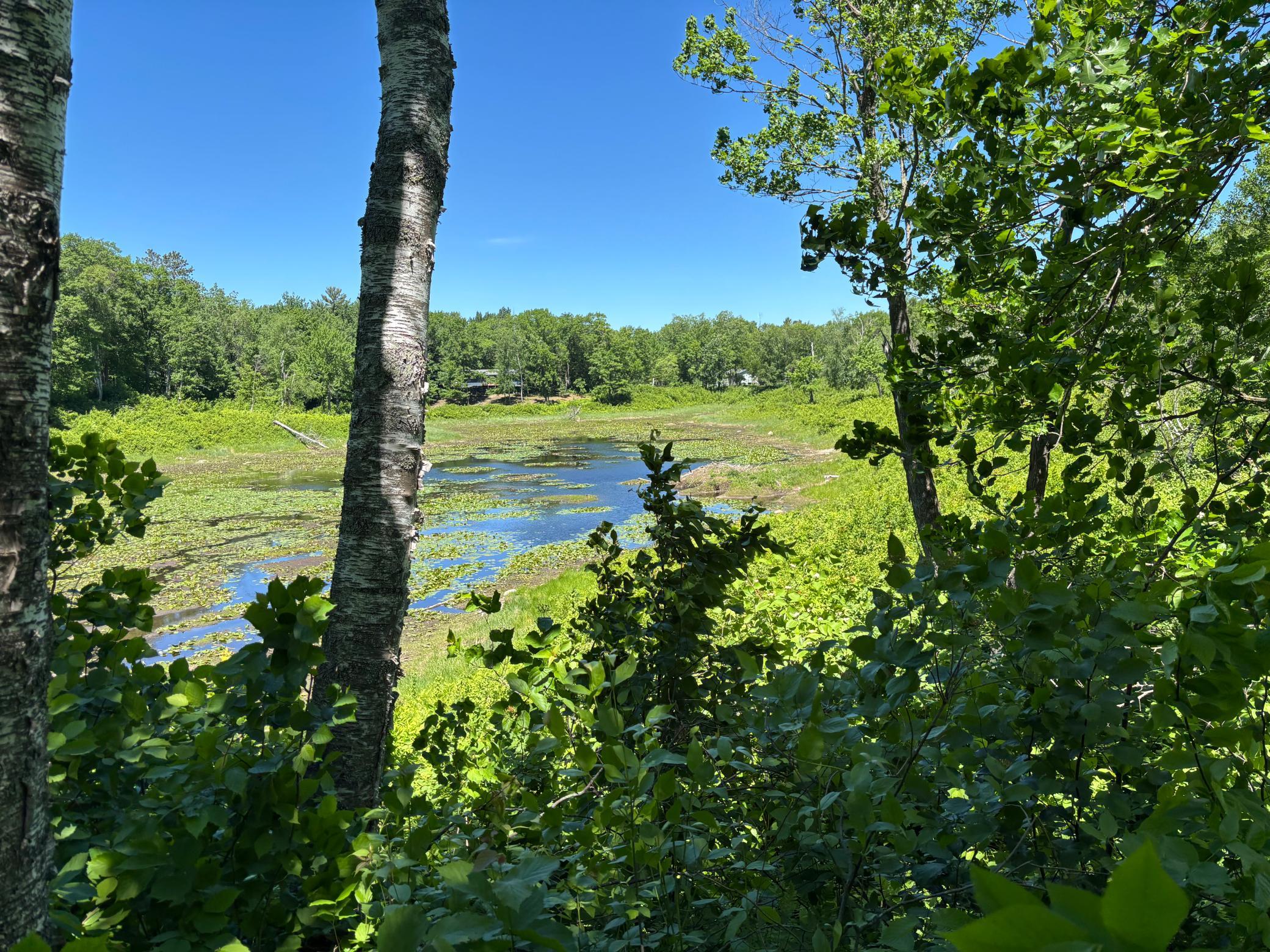 Tbd Fawn Trail Ne Property Photo 1