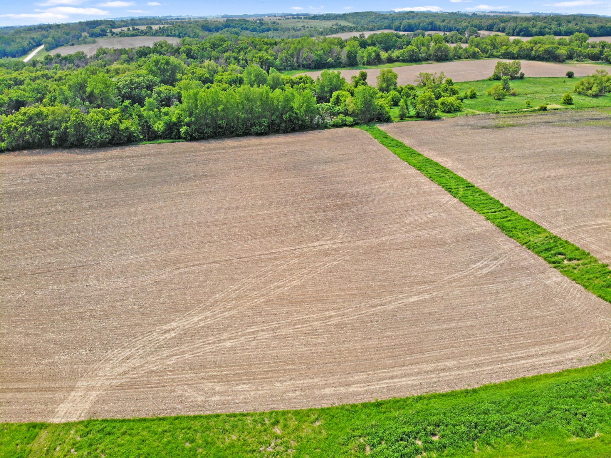 Tbd State Highway 57 Property Photo 6