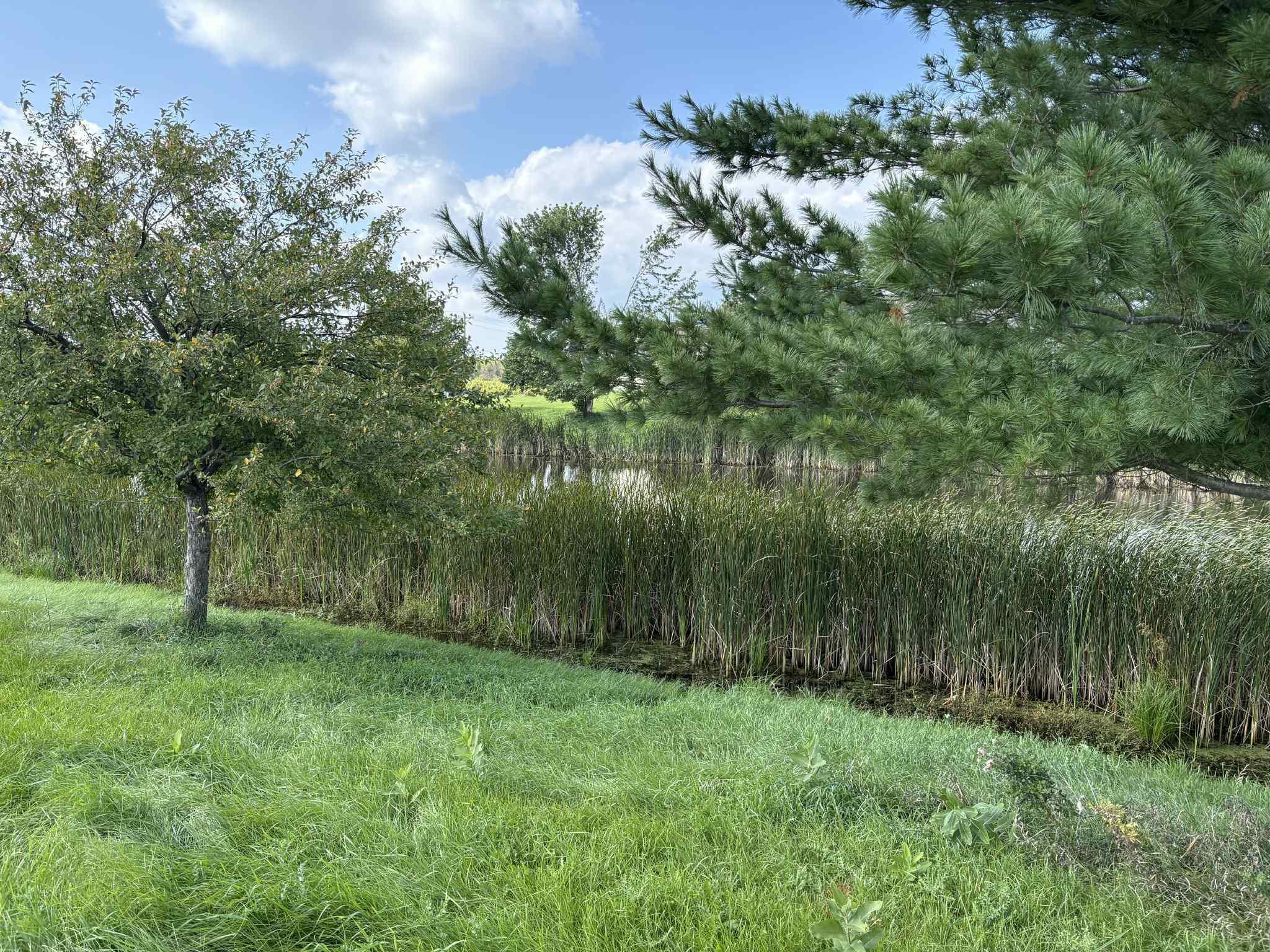 1975 Cattail Place Lot 6 Property Photo 41