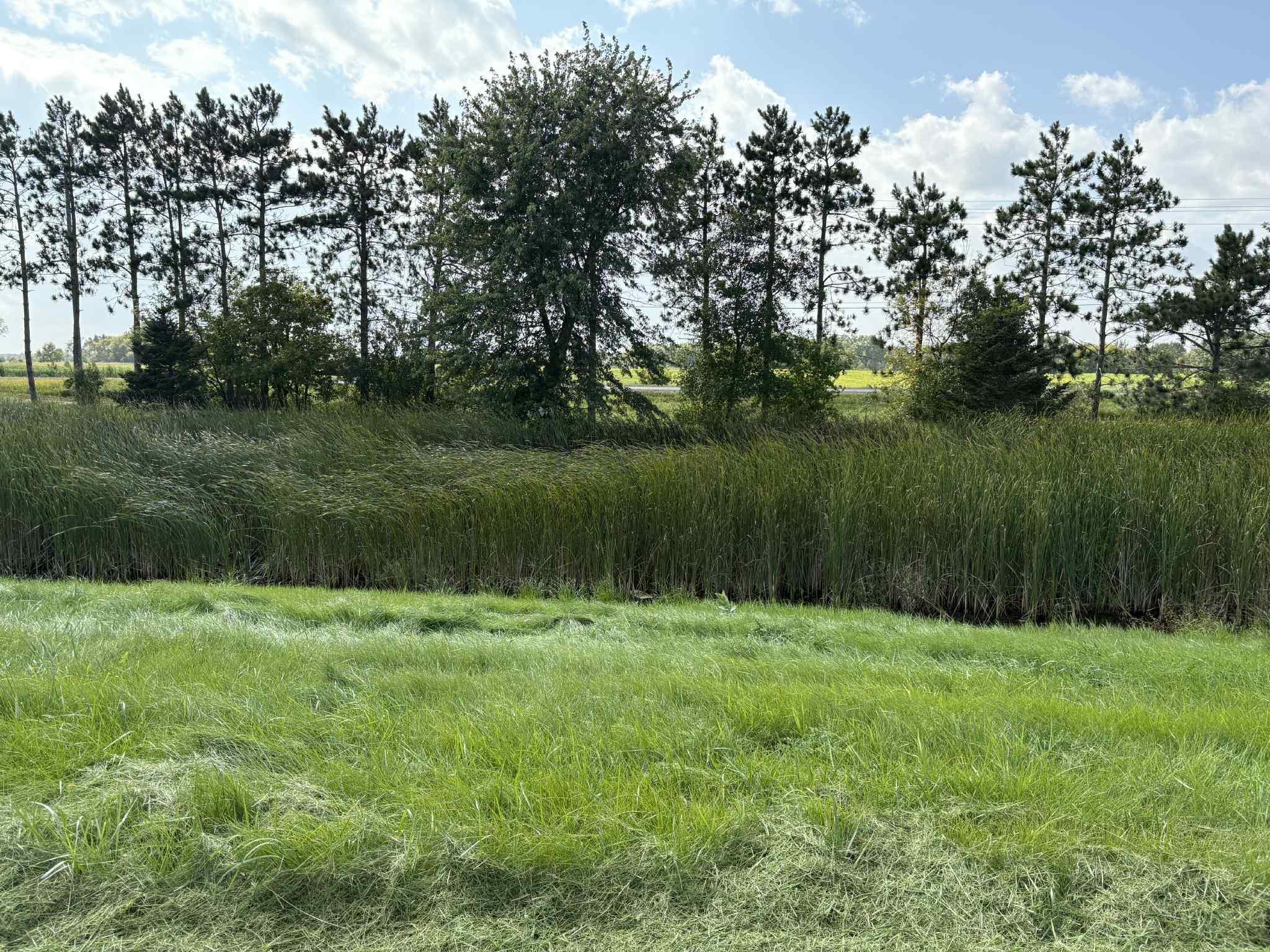 1975 Cattail Place Lot 6 Property Photo 42