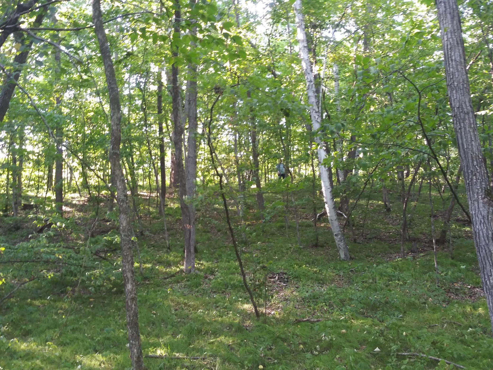 23847 Arcade Loop Property Photo 7