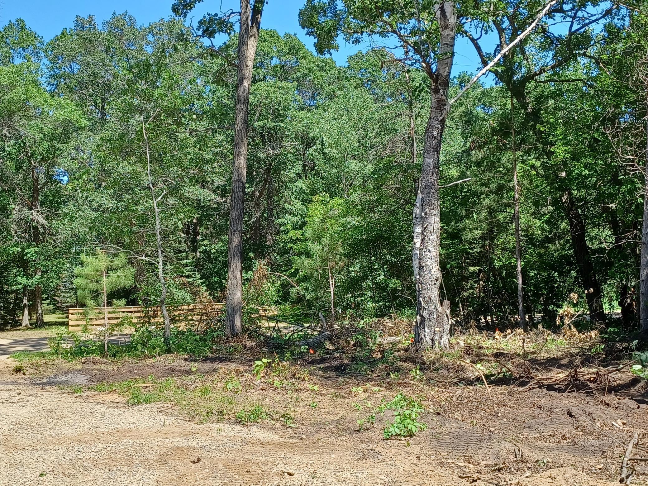 23847 Arcade Loop Property Photo 8