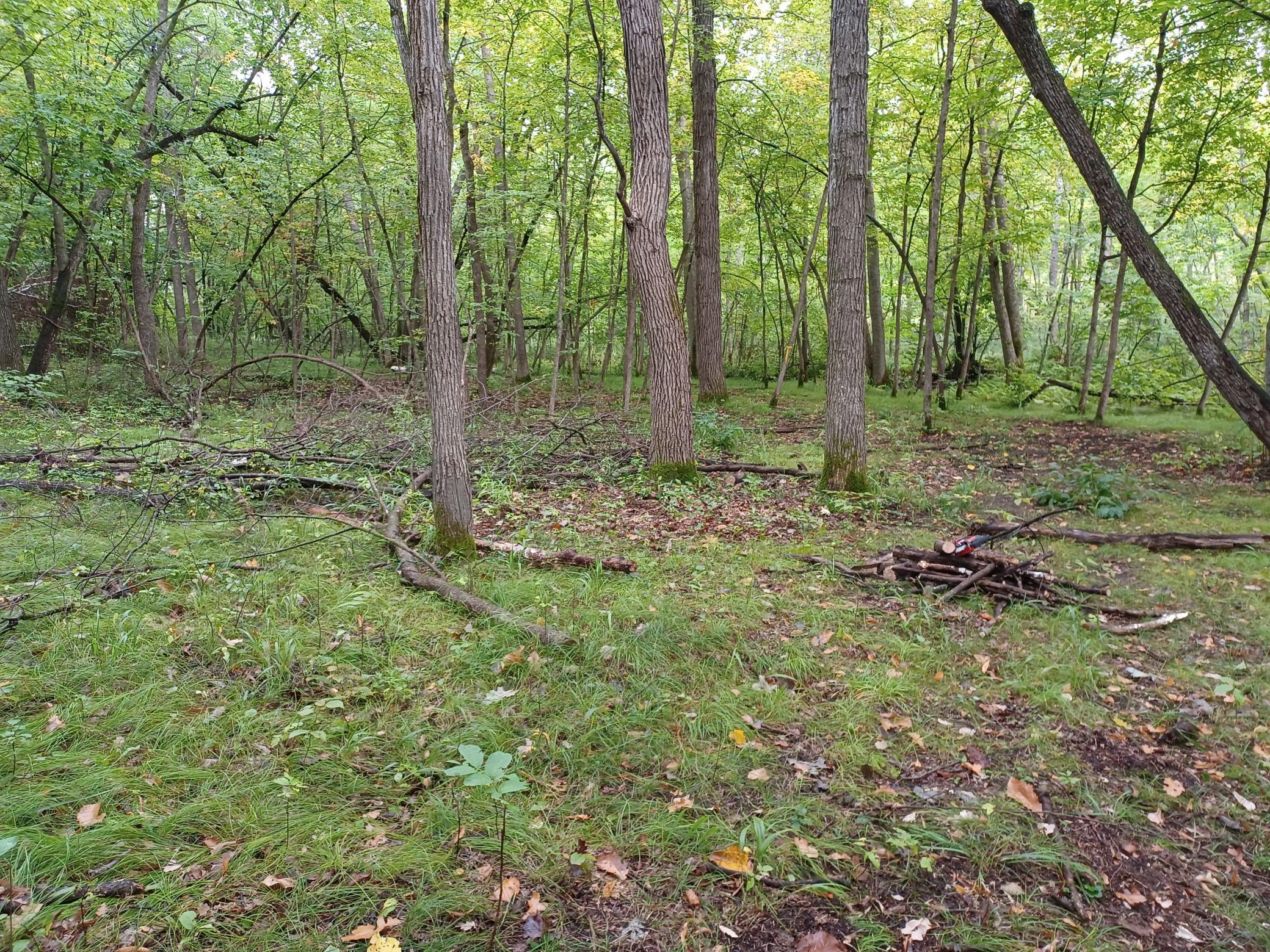 23847 Arcade Loop Property Photo 9