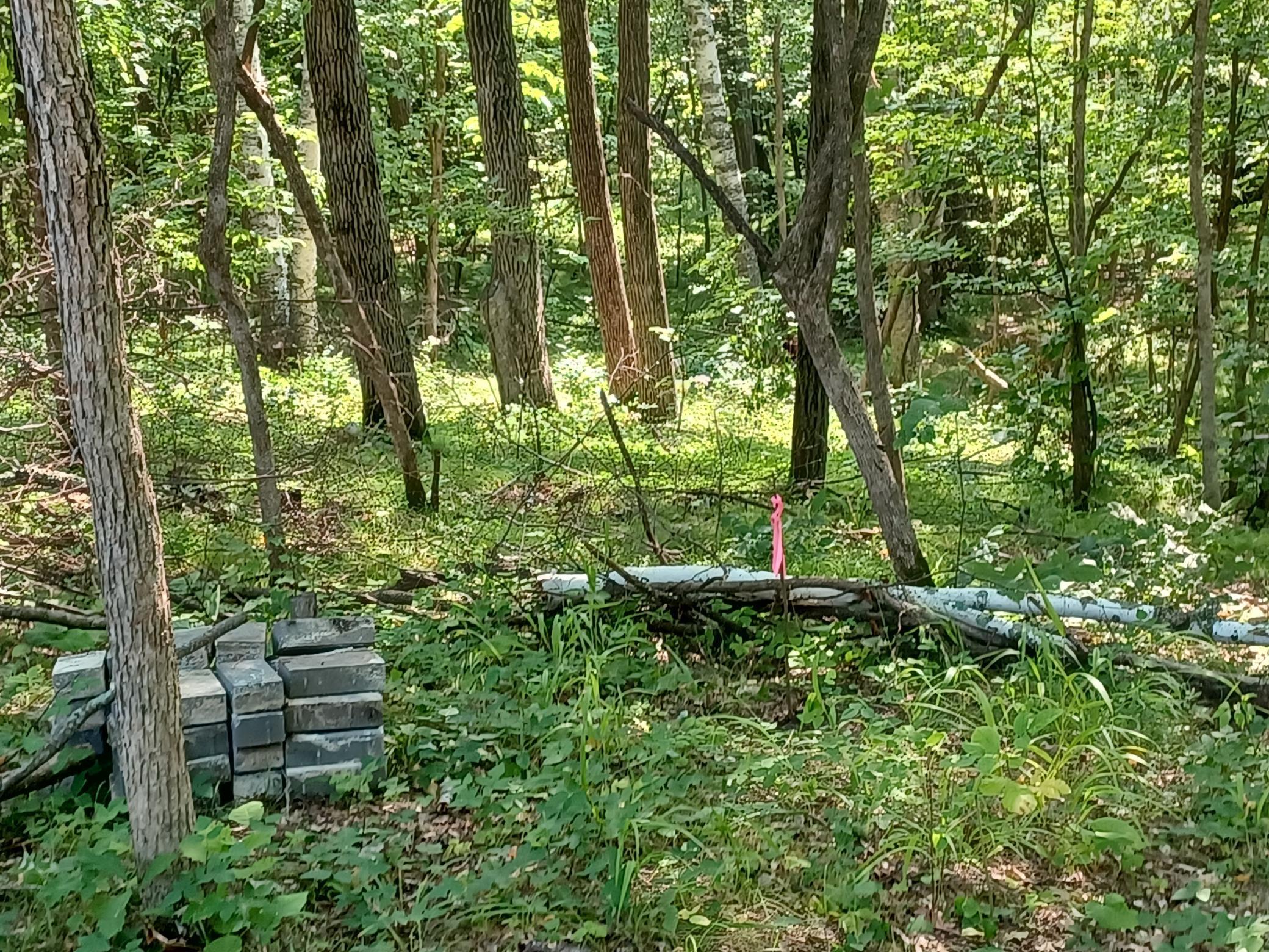 23847 Arcade Loop Property Photo 10