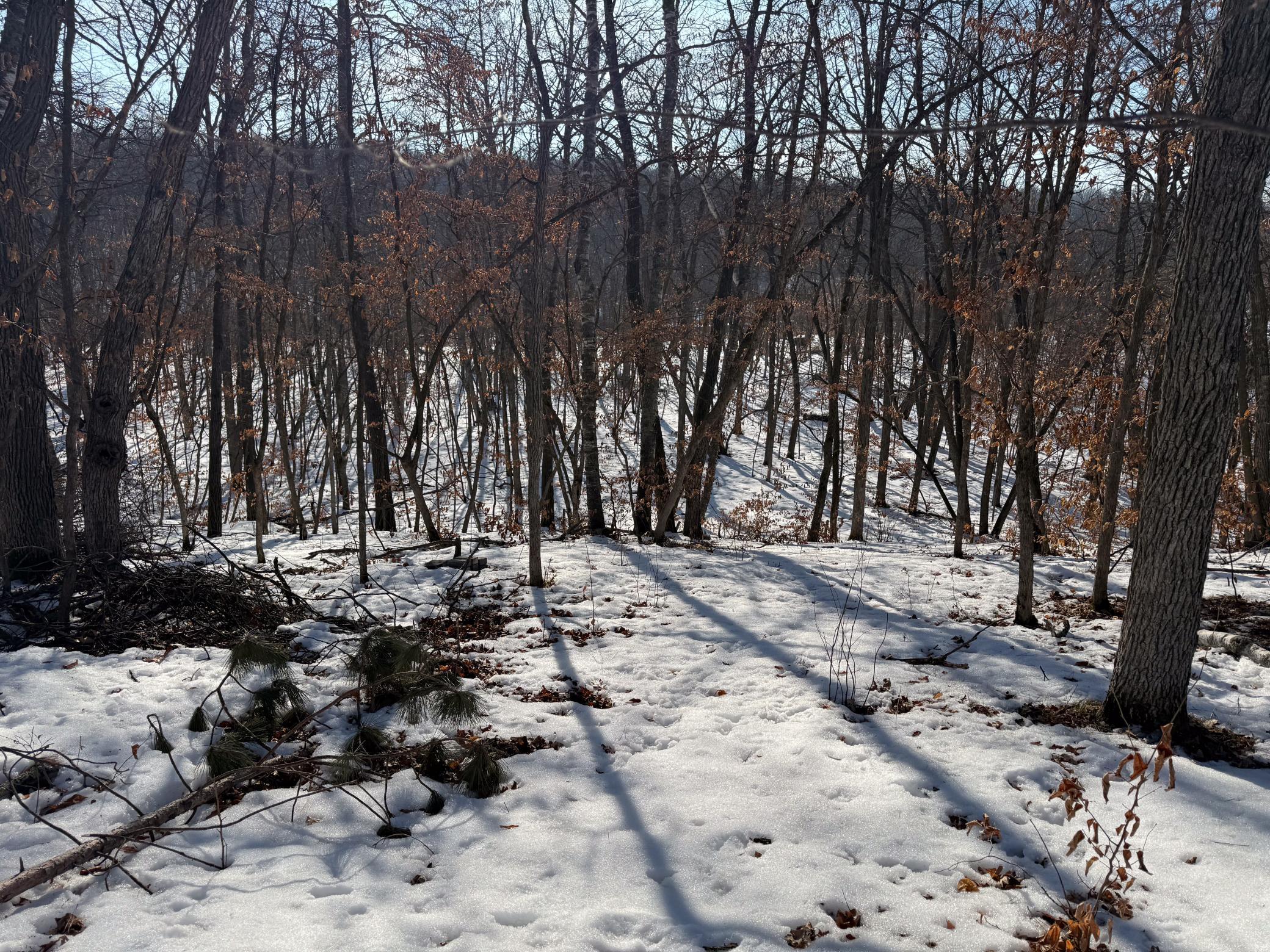 23847 Arcade Loop Property Photo 42
