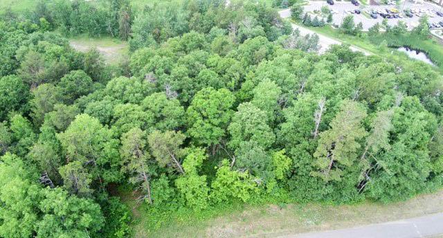 Tbd Excelsior Road Property Photo 8