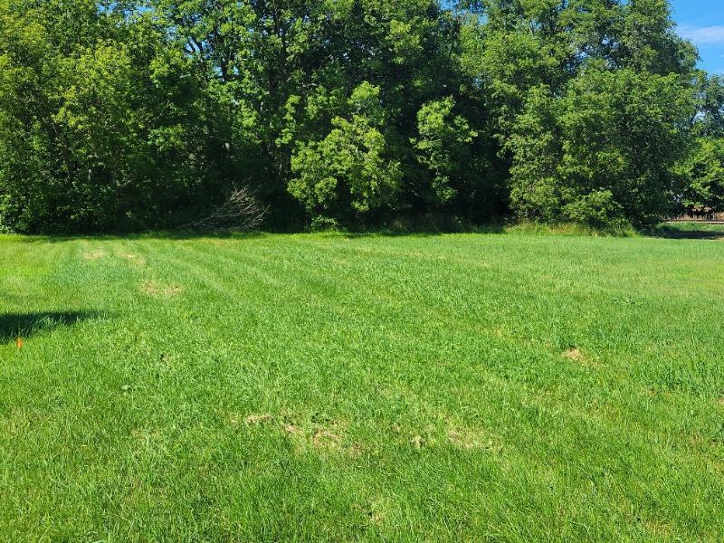 Tbd Cedar Street Property Photo 1