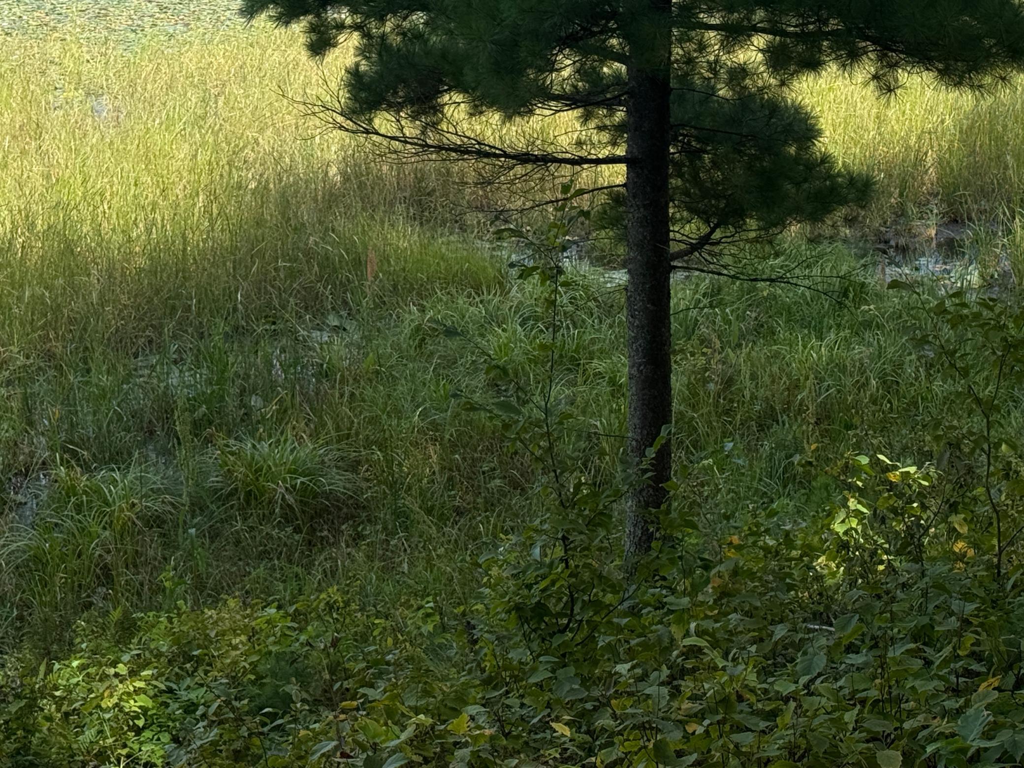 Tbd Sunset Shores Property Photo 12