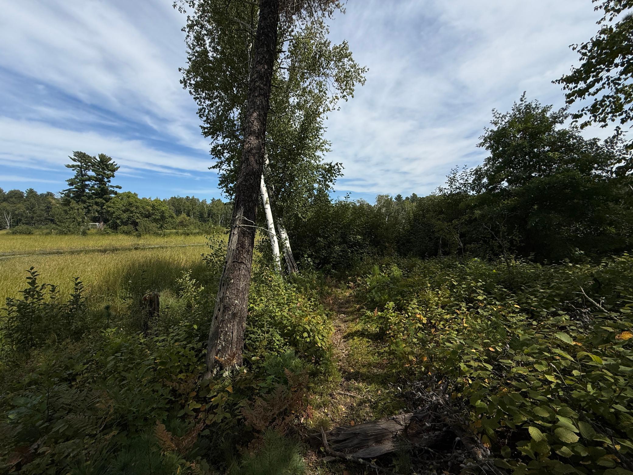 Tbd Sunset Shores Property Photo 15