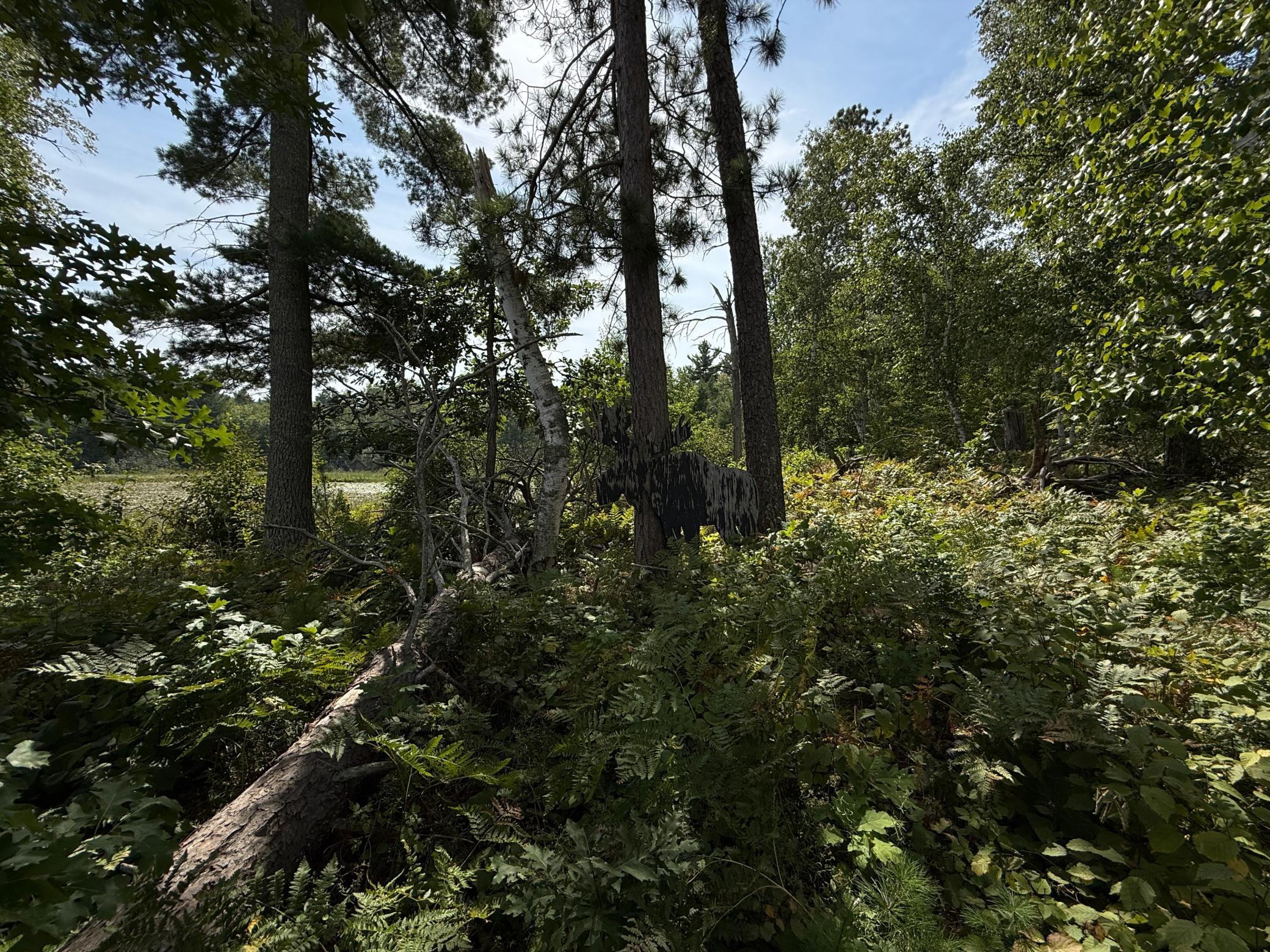 Tbd Sunset Shores Property Photo 16