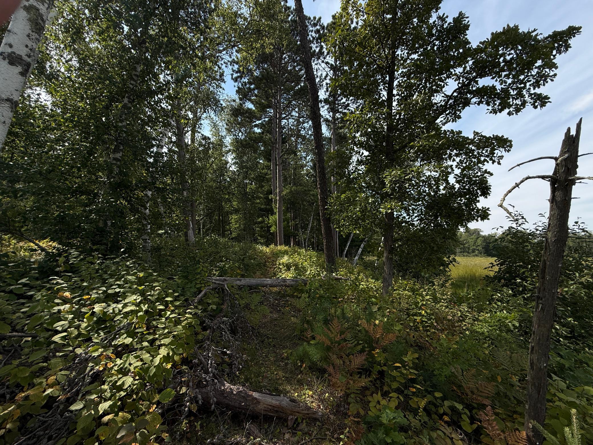 Tbd Sunset Shores Property Photo 18