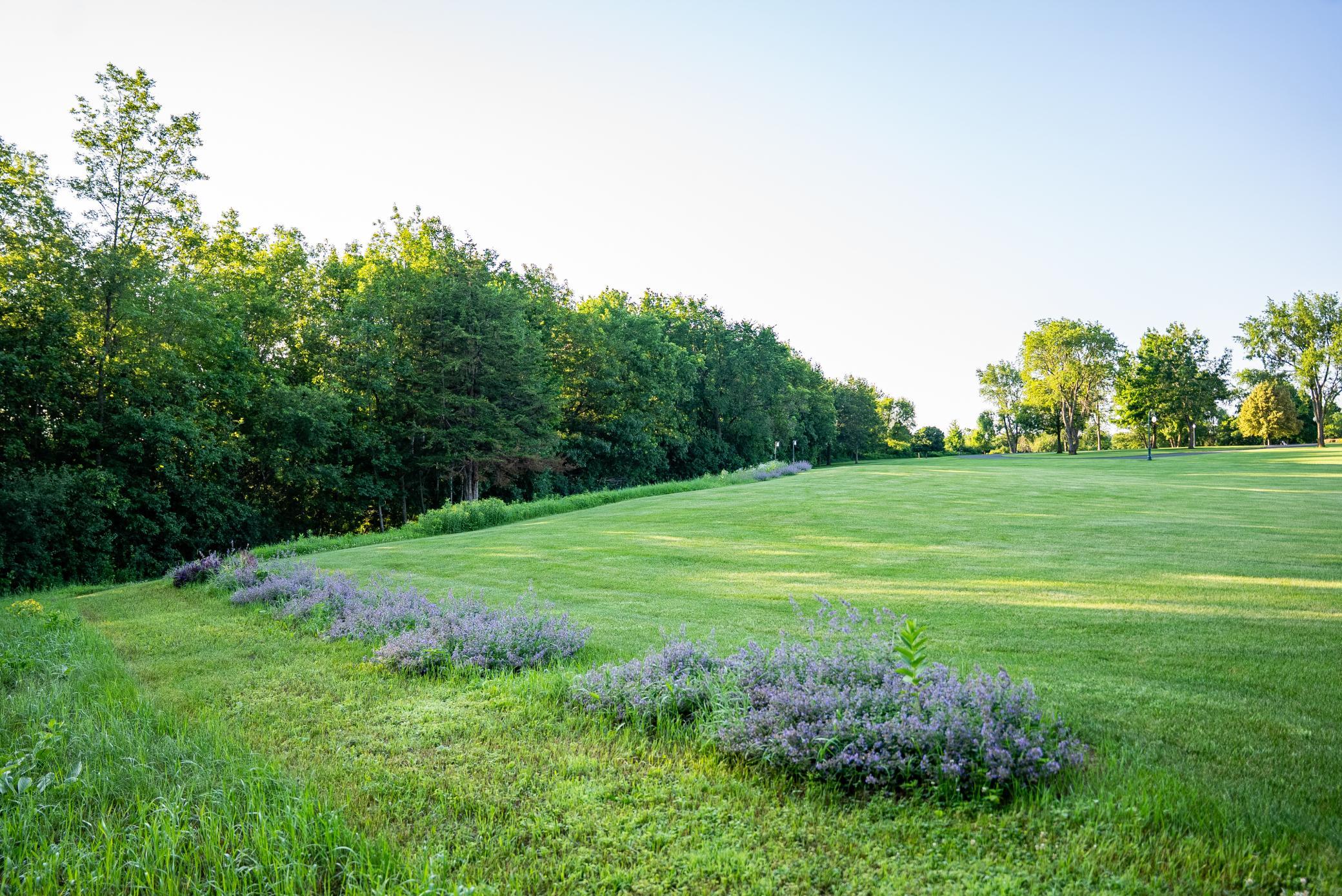 32592 Juniper Road Property Photo 65