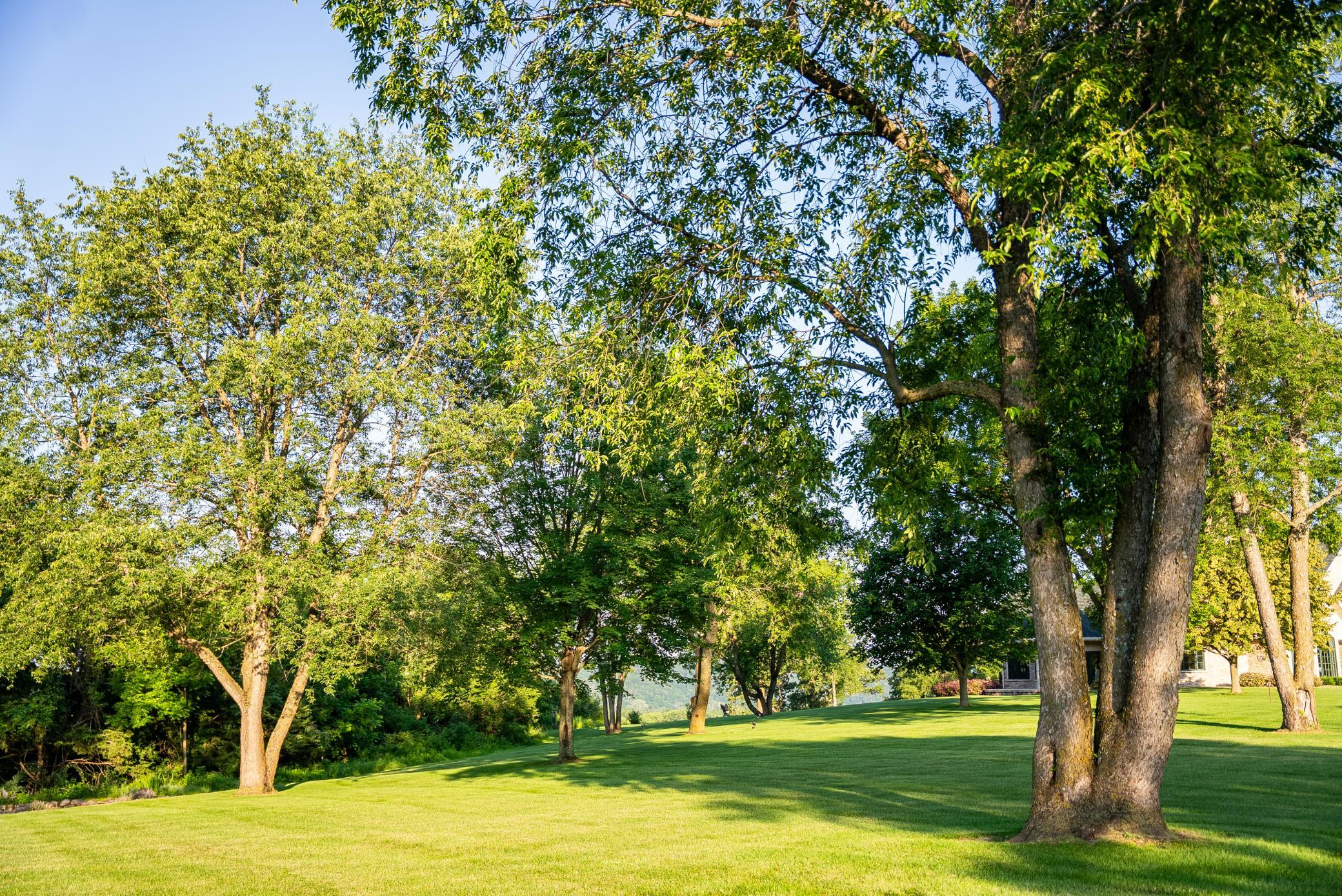 32592 Juniper Road Property Photo 66