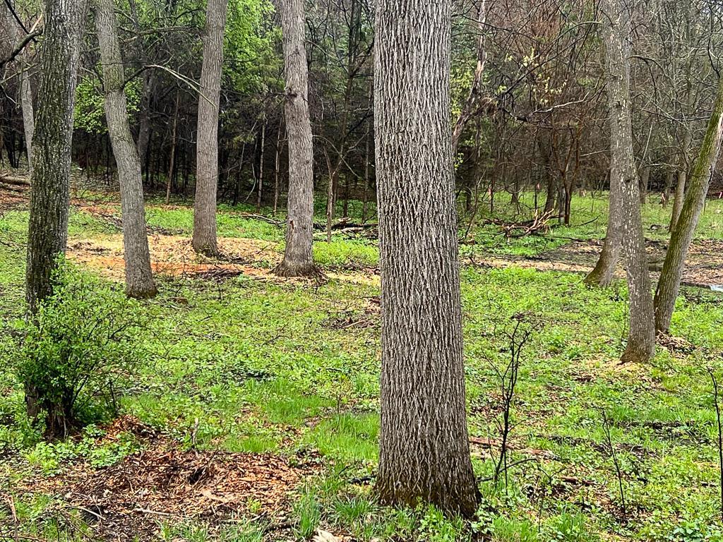 2195 Watertown Road Property Photo 6