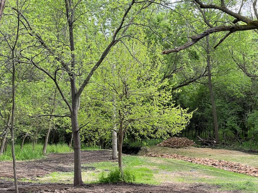 2195 Watertown Road Property Photo 8
