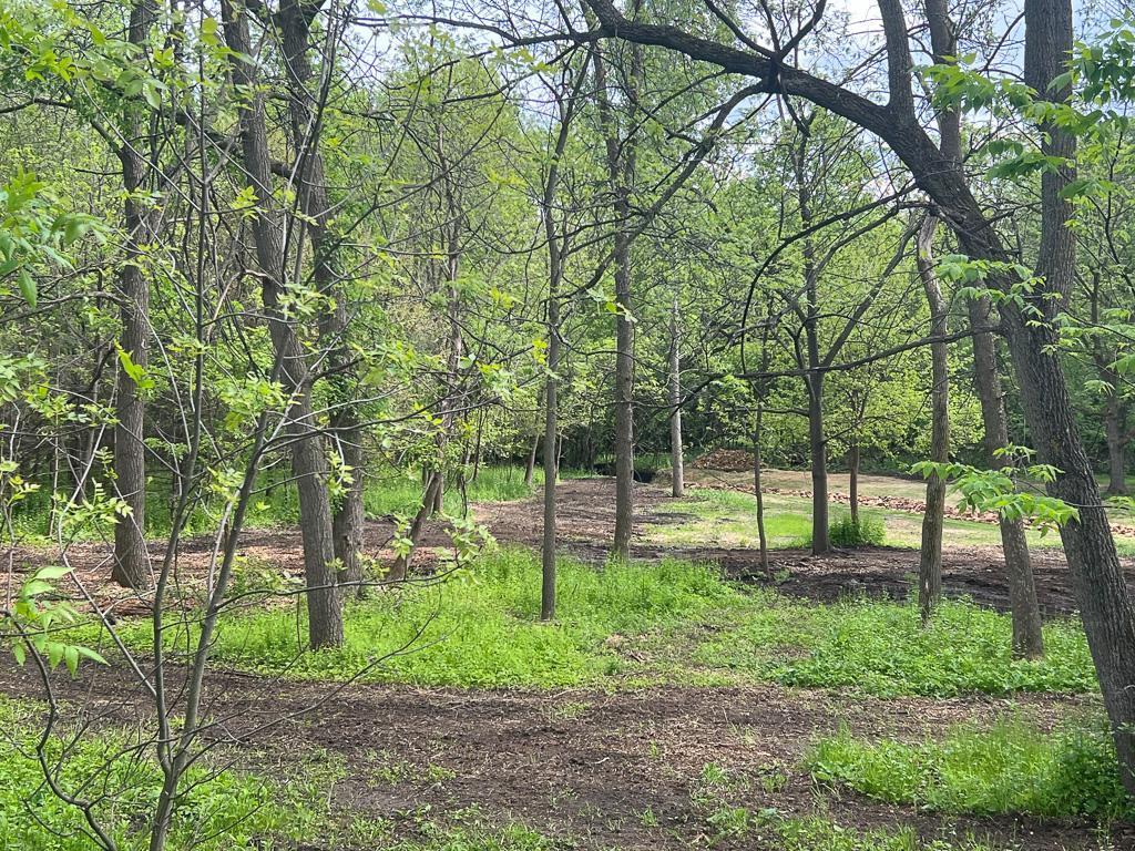 2195 Watertown Road Property Photo 11