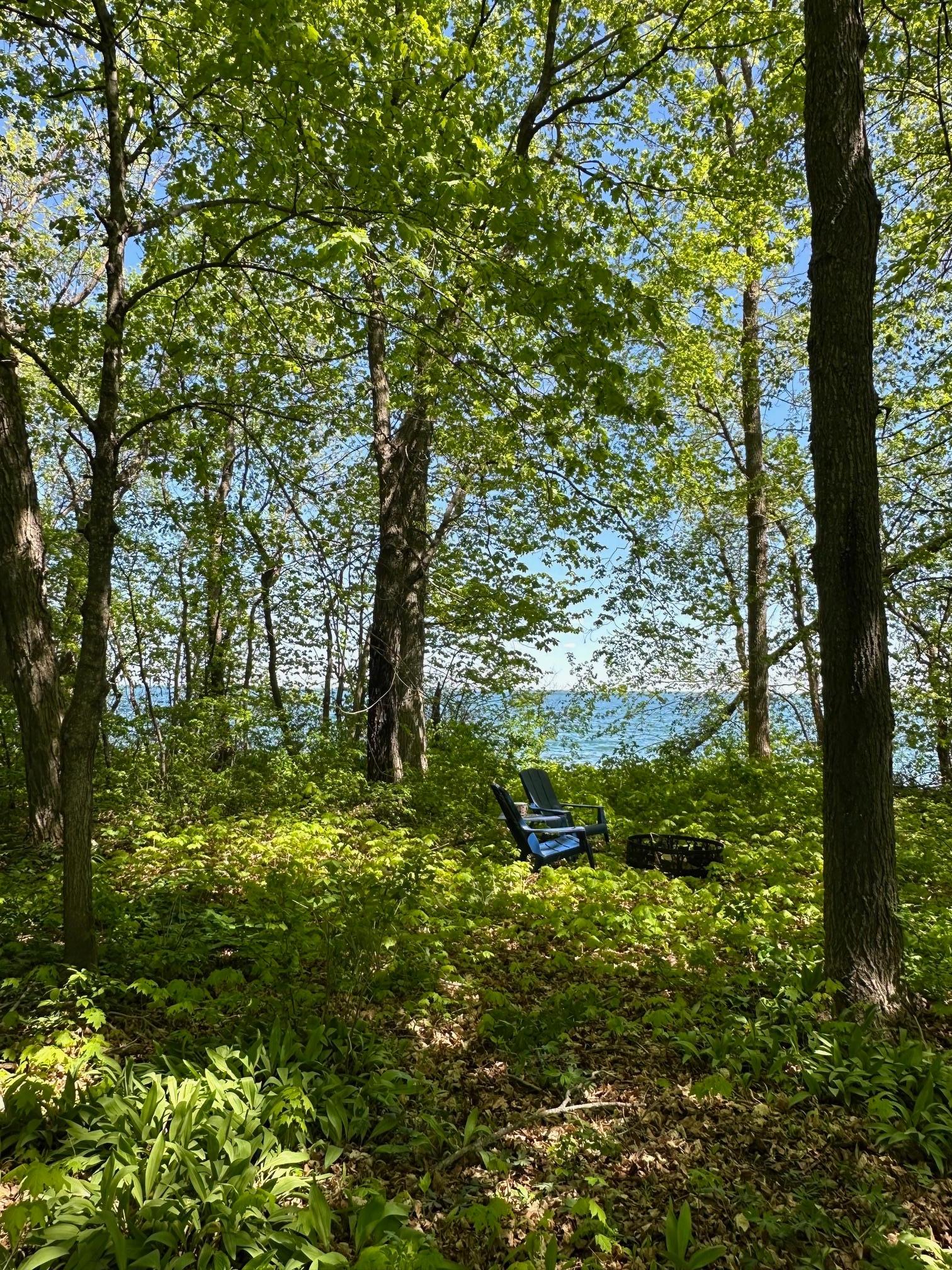 Tbd Ottertail Point Drive Nw Property Photo 5