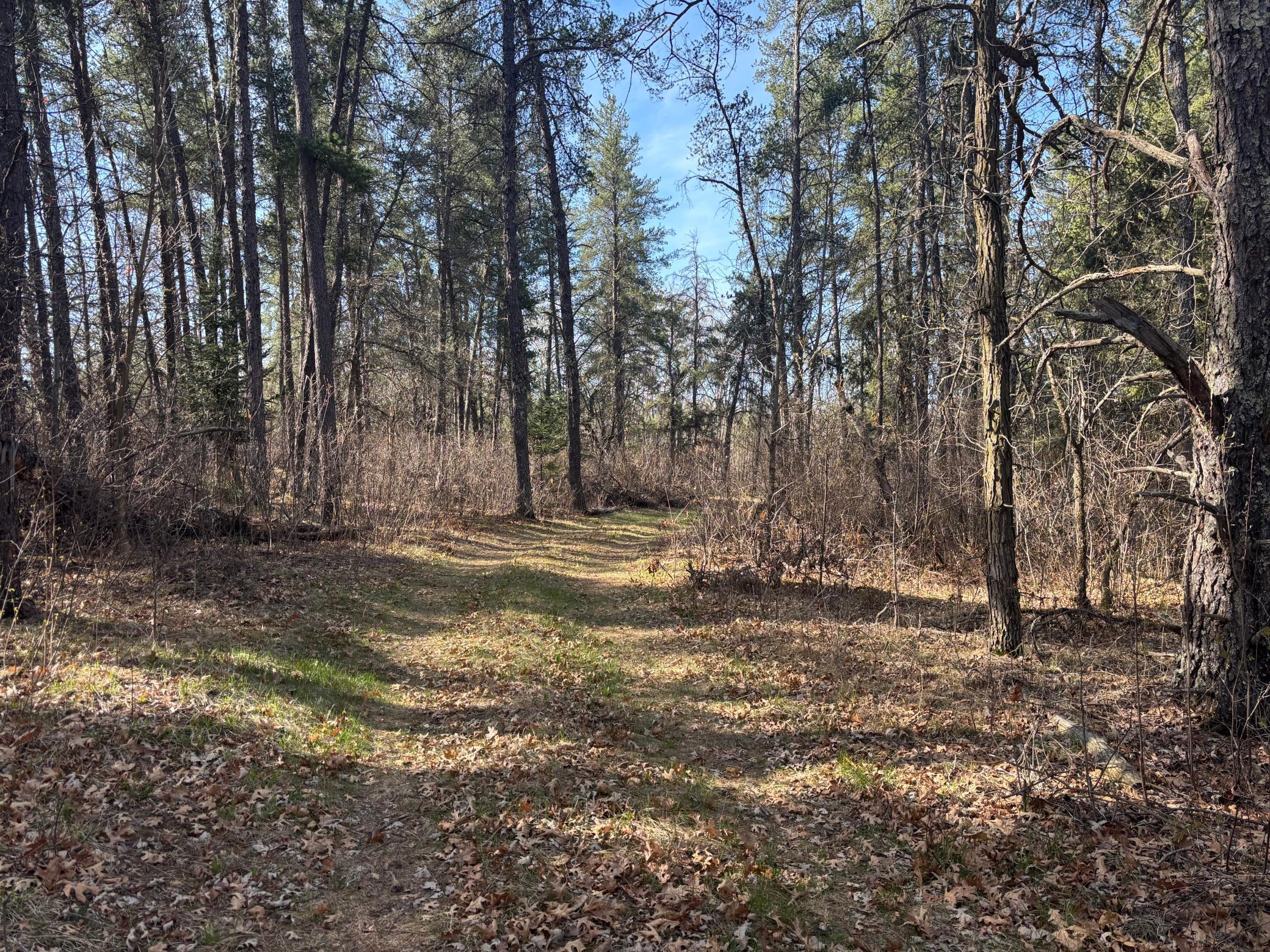 Tbd Arbor Road Property Photo 5