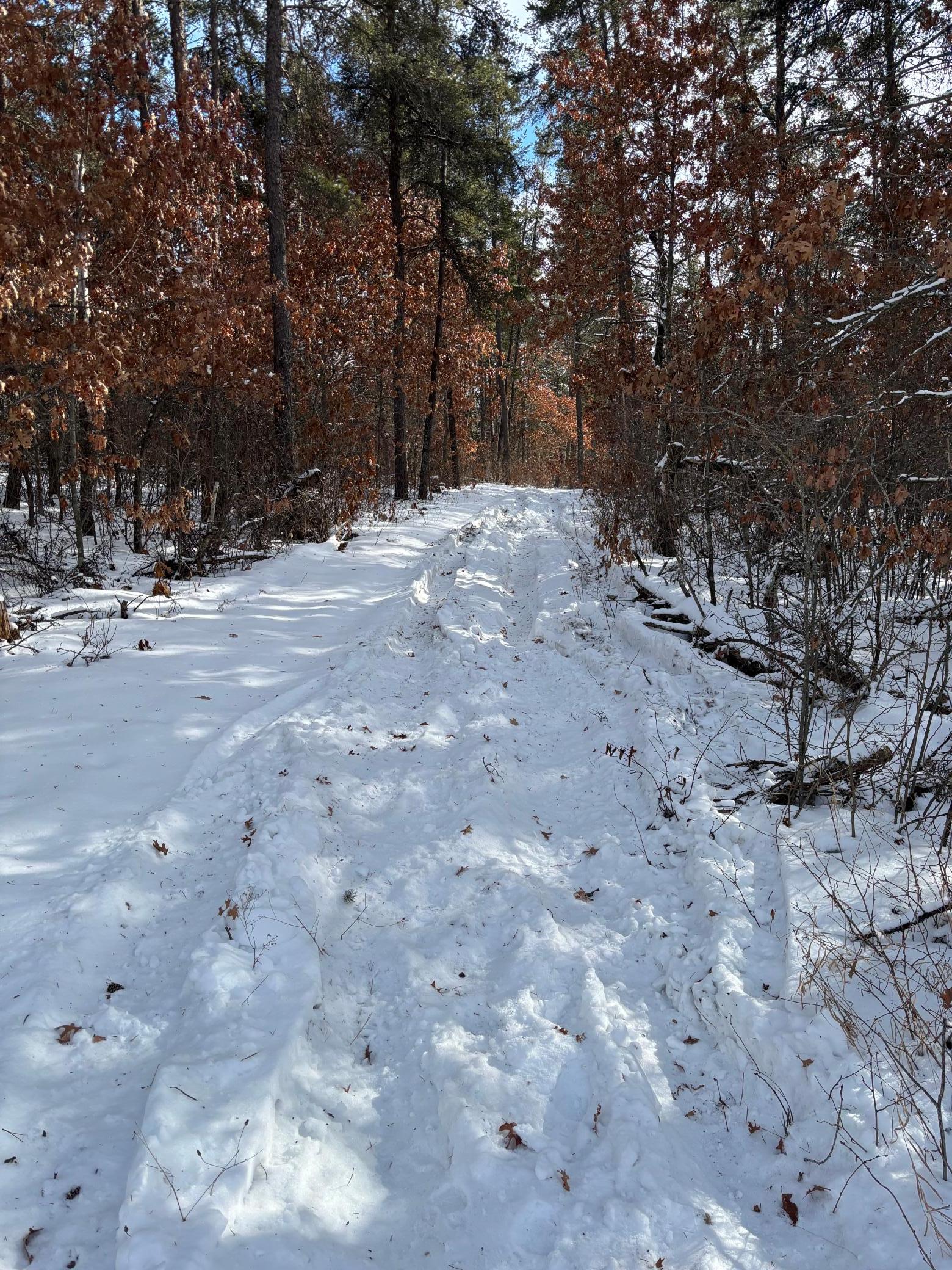 Tbd Arbor Road Property Photo 6