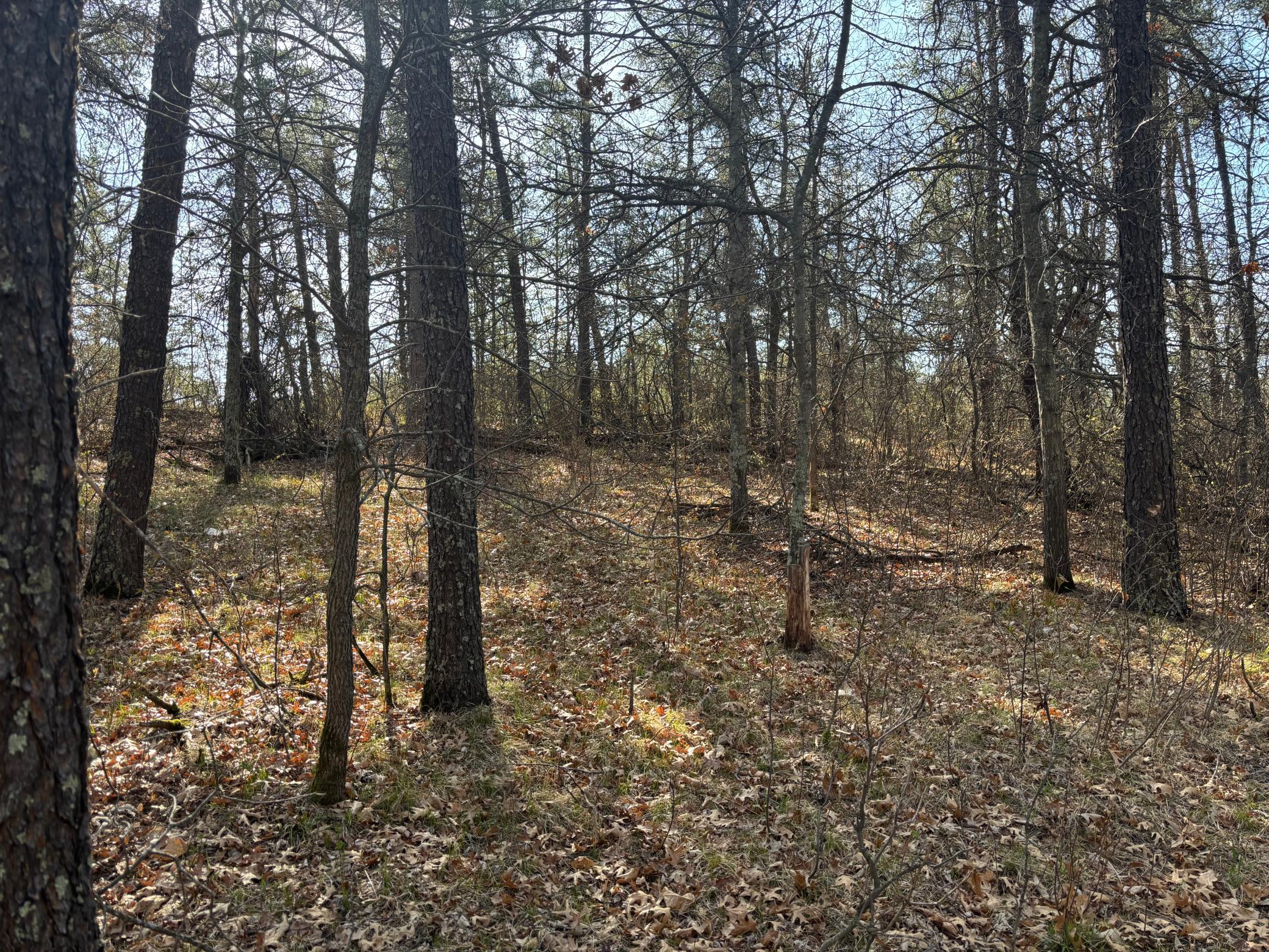 Tbd Arbor Road Property Photo 8