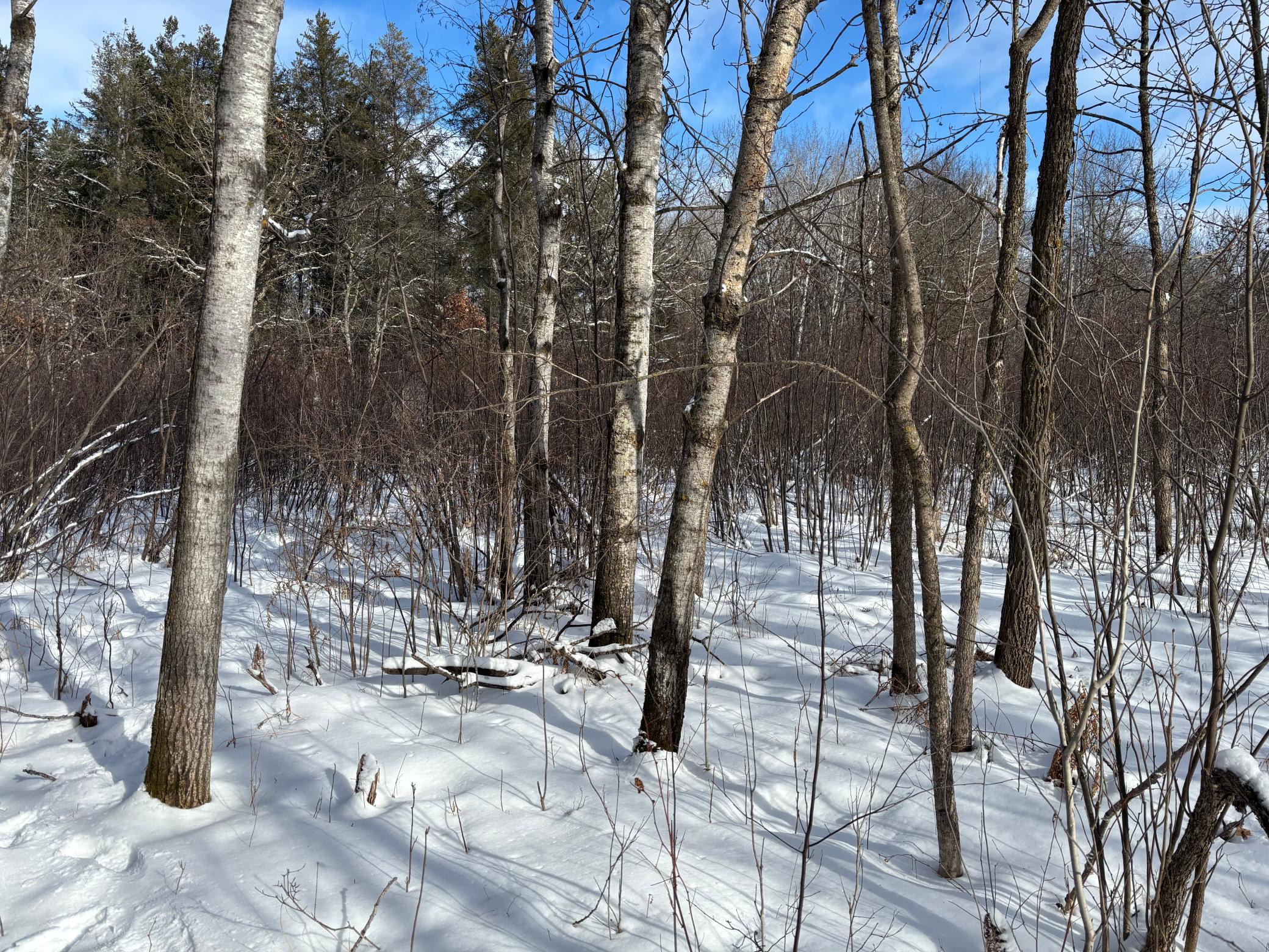 Tbd Arbor Road Property Photo 10