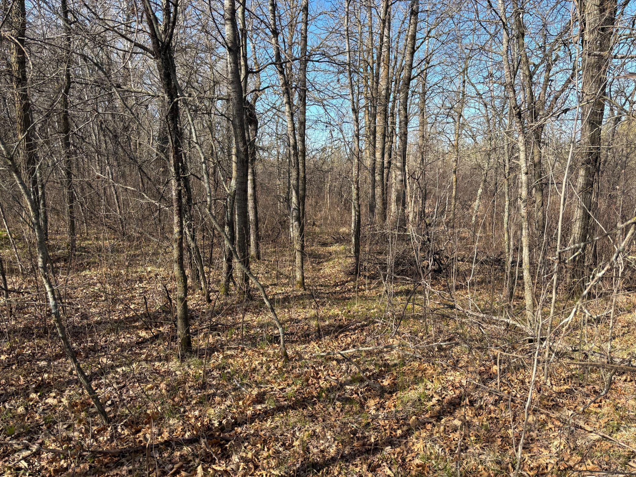 Tbd Arbor Road Property Photo 16