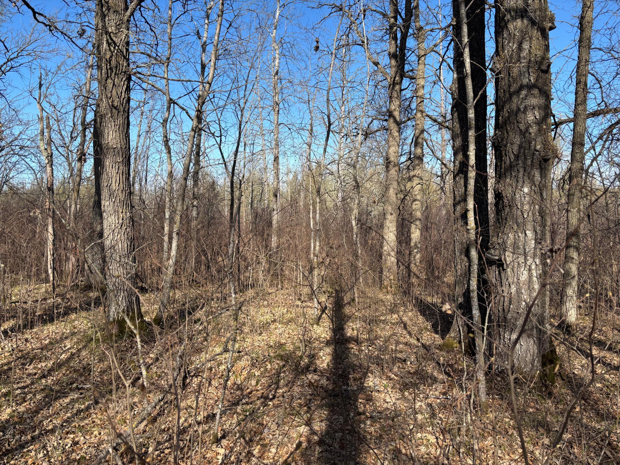 Tbd Arbor Road Property Photo 17