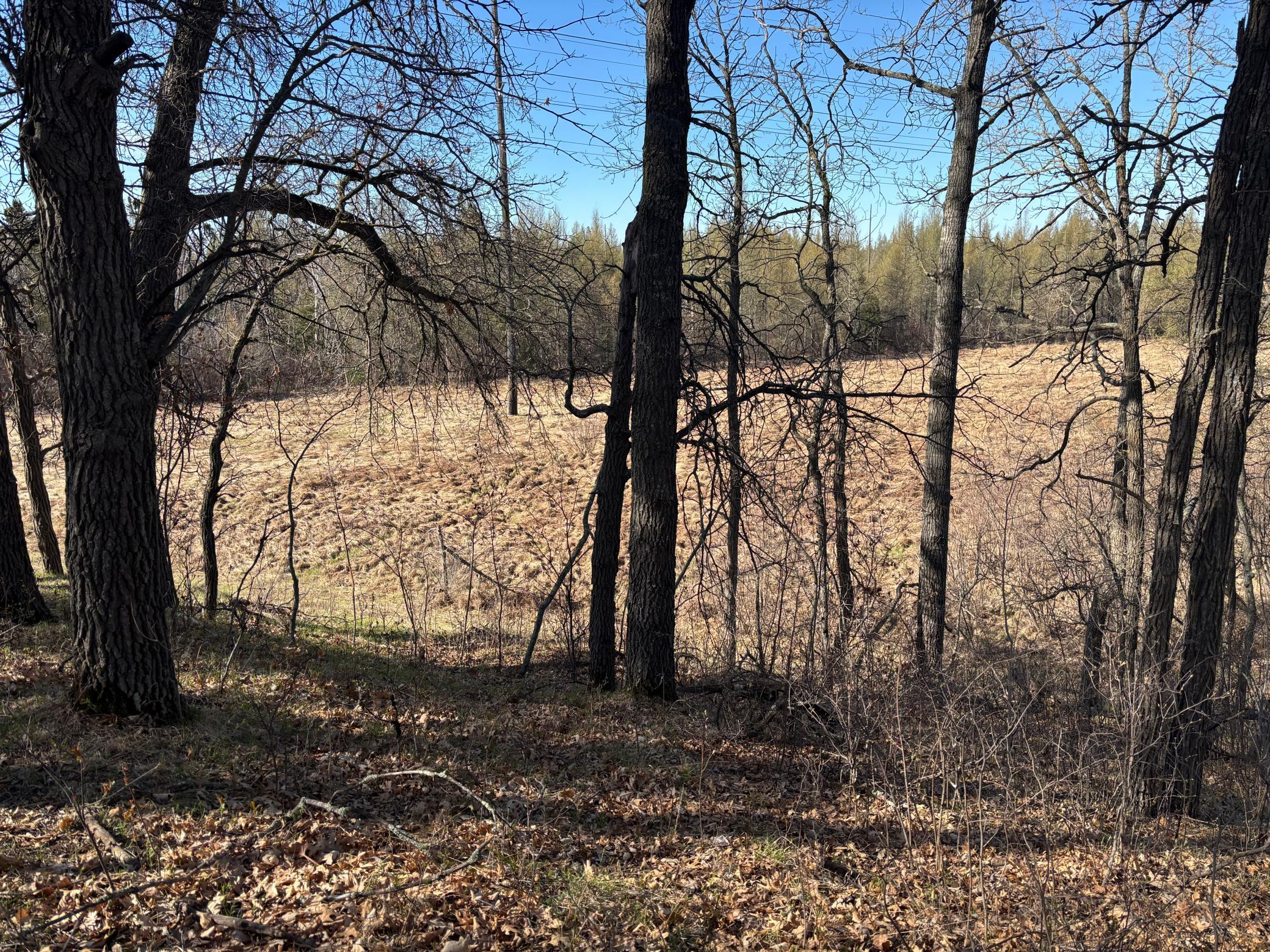 Tbd Arbor Road Property Photo 20