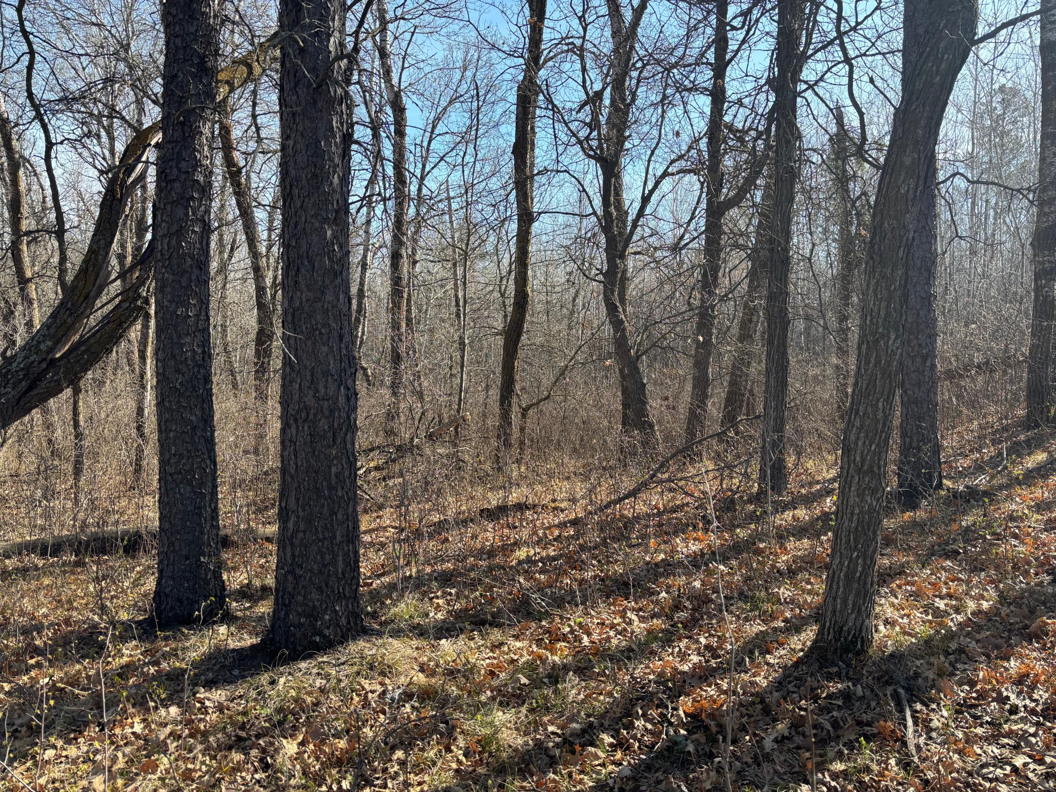 Tbd Arbor Road Property Photo 21