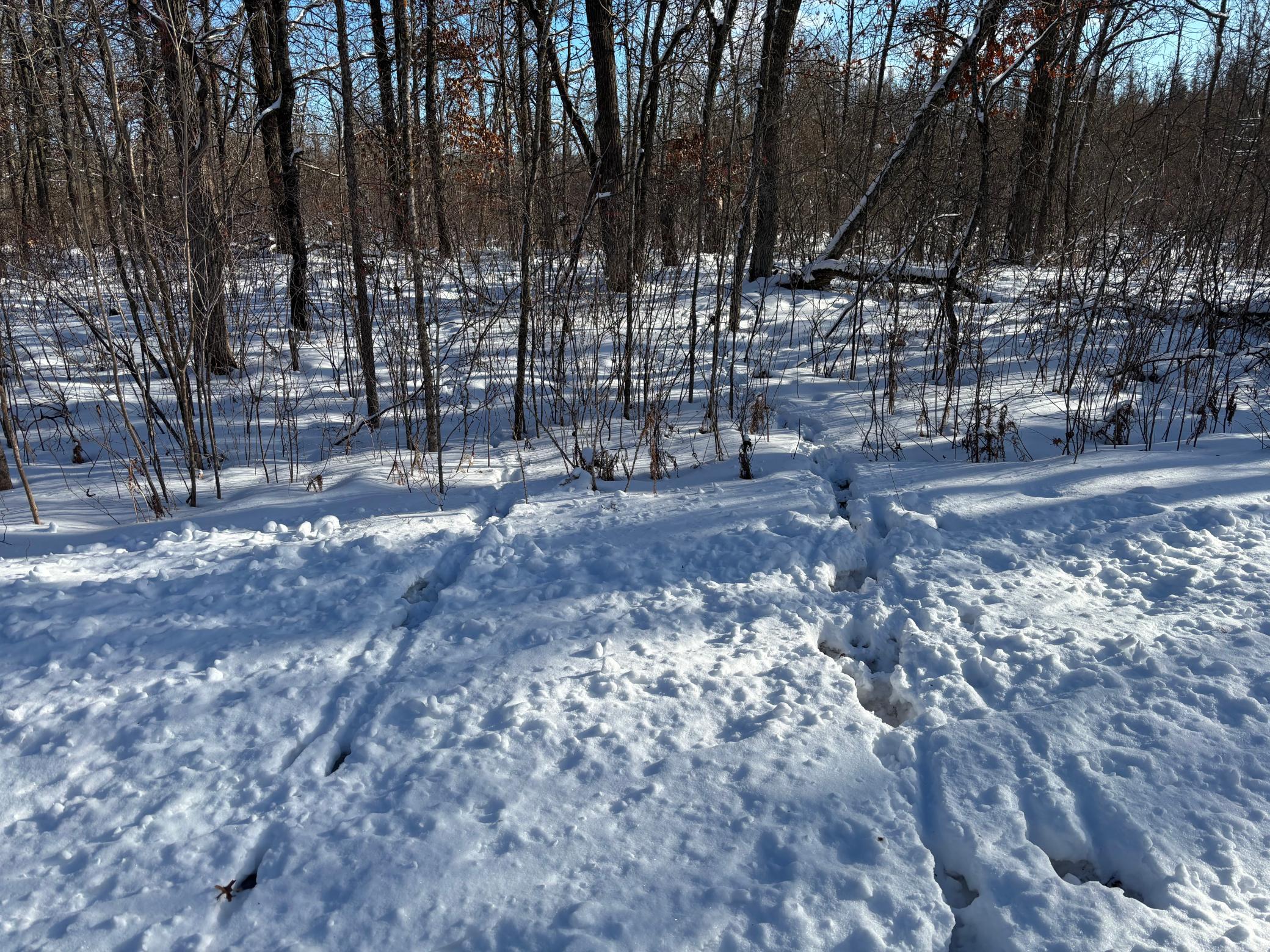 Tbd Arbor Road Property Photo 23