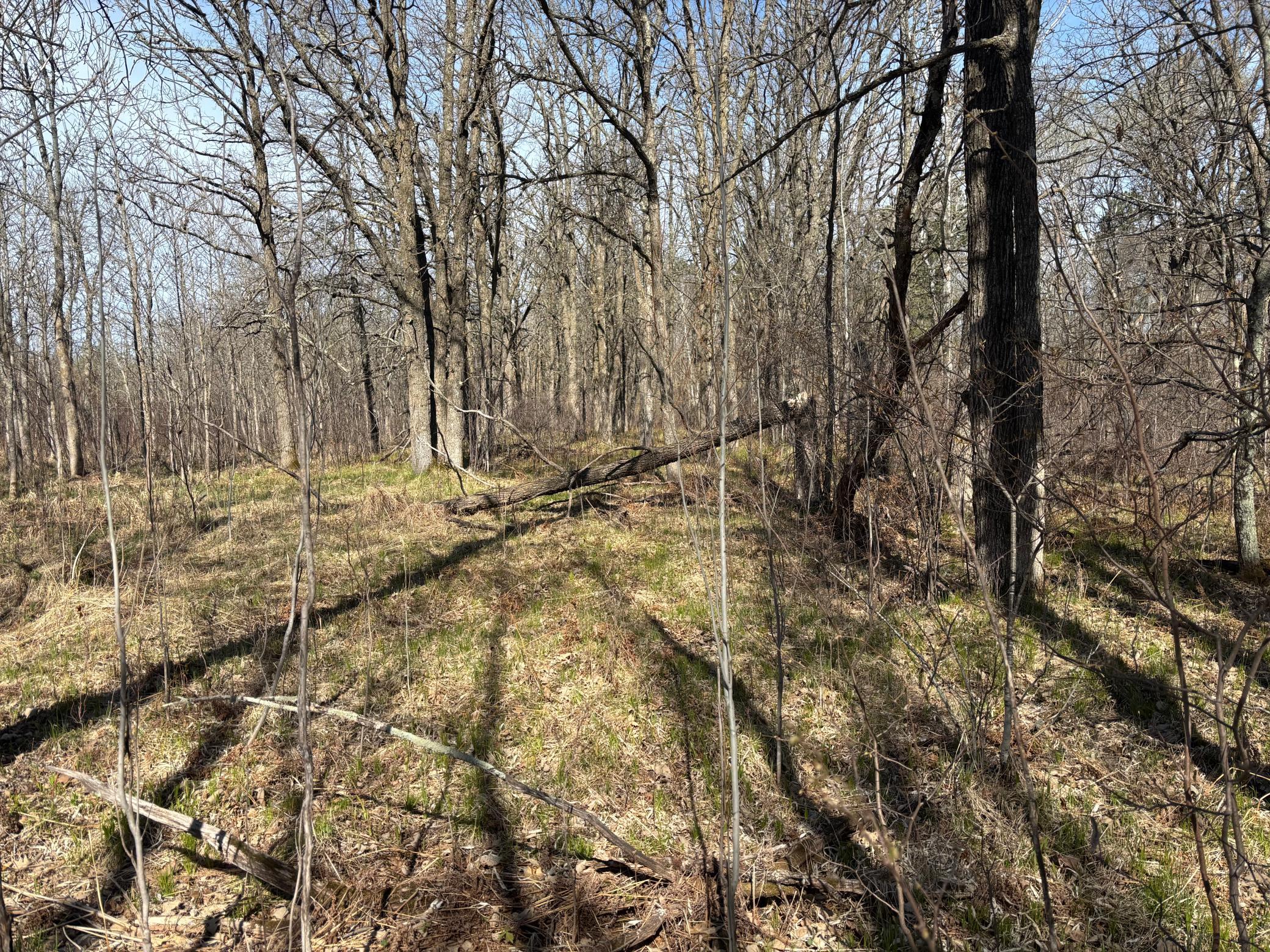 Tbd Arbor Road Property Photo 26