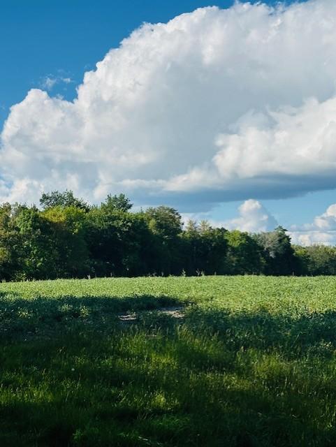 8xxx Rushseba Trail Property Photo 2