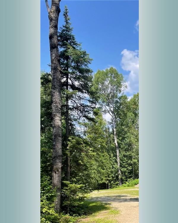 23xx Low Creek Road Property Photo 3