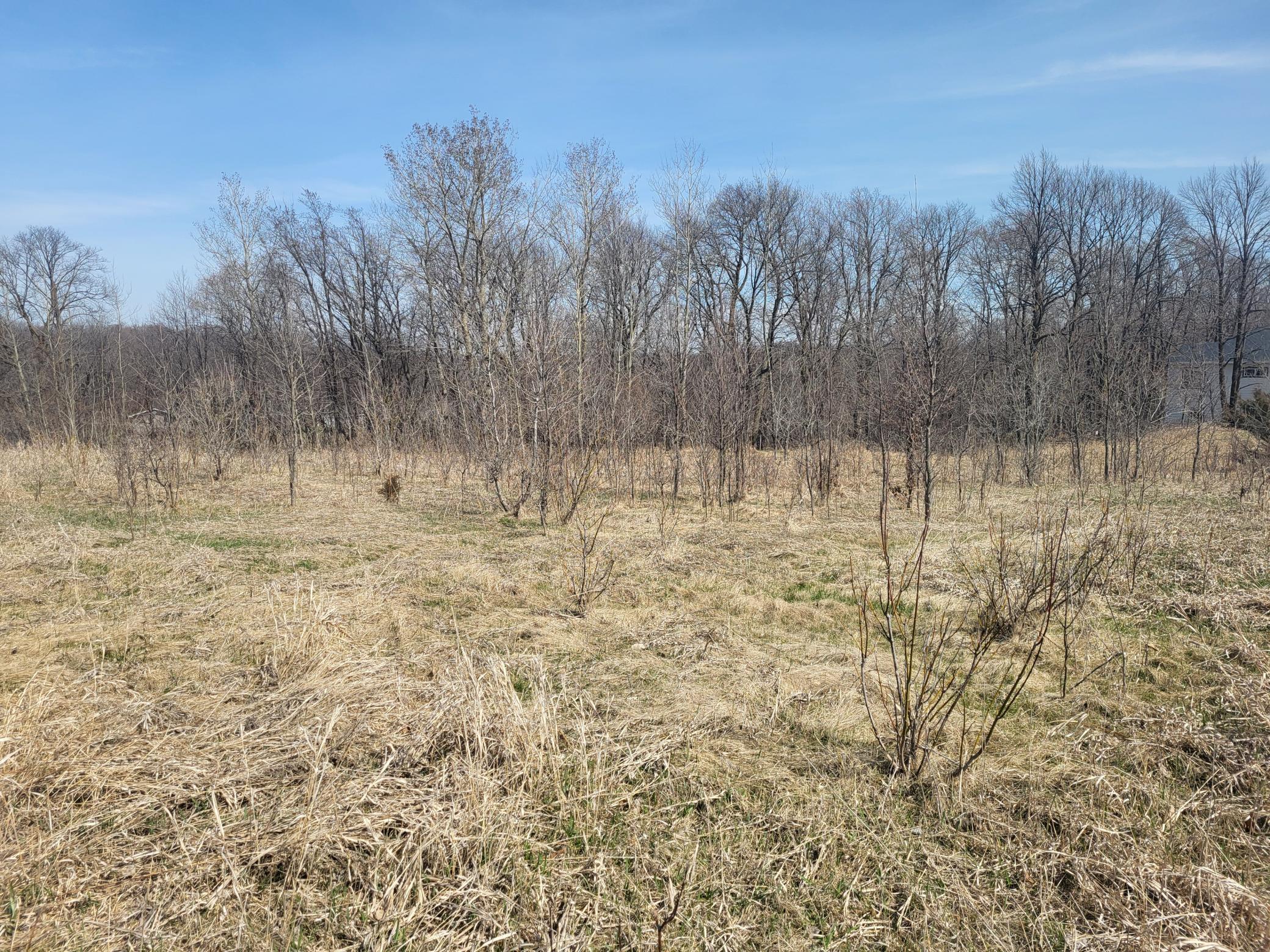 Lot 4 River Pointe Trail Property Photo 13