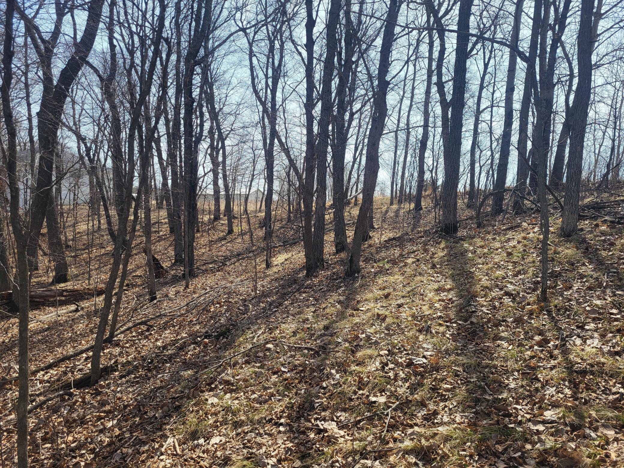 Lot 4 River Pointe Trail Property Photo 16
