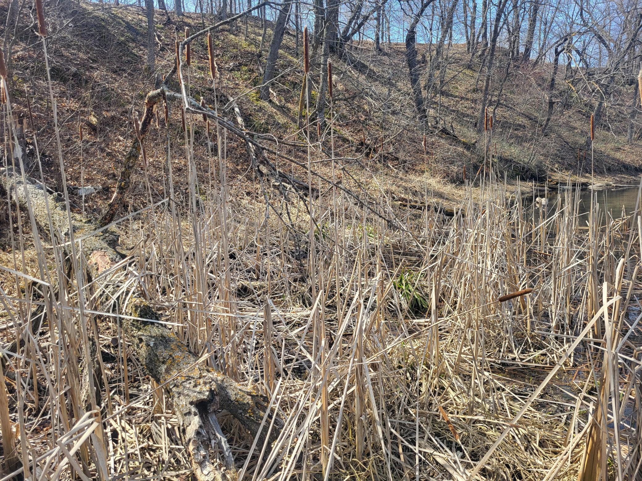 Lot 4 River Pointe Trail Property Photo 17
