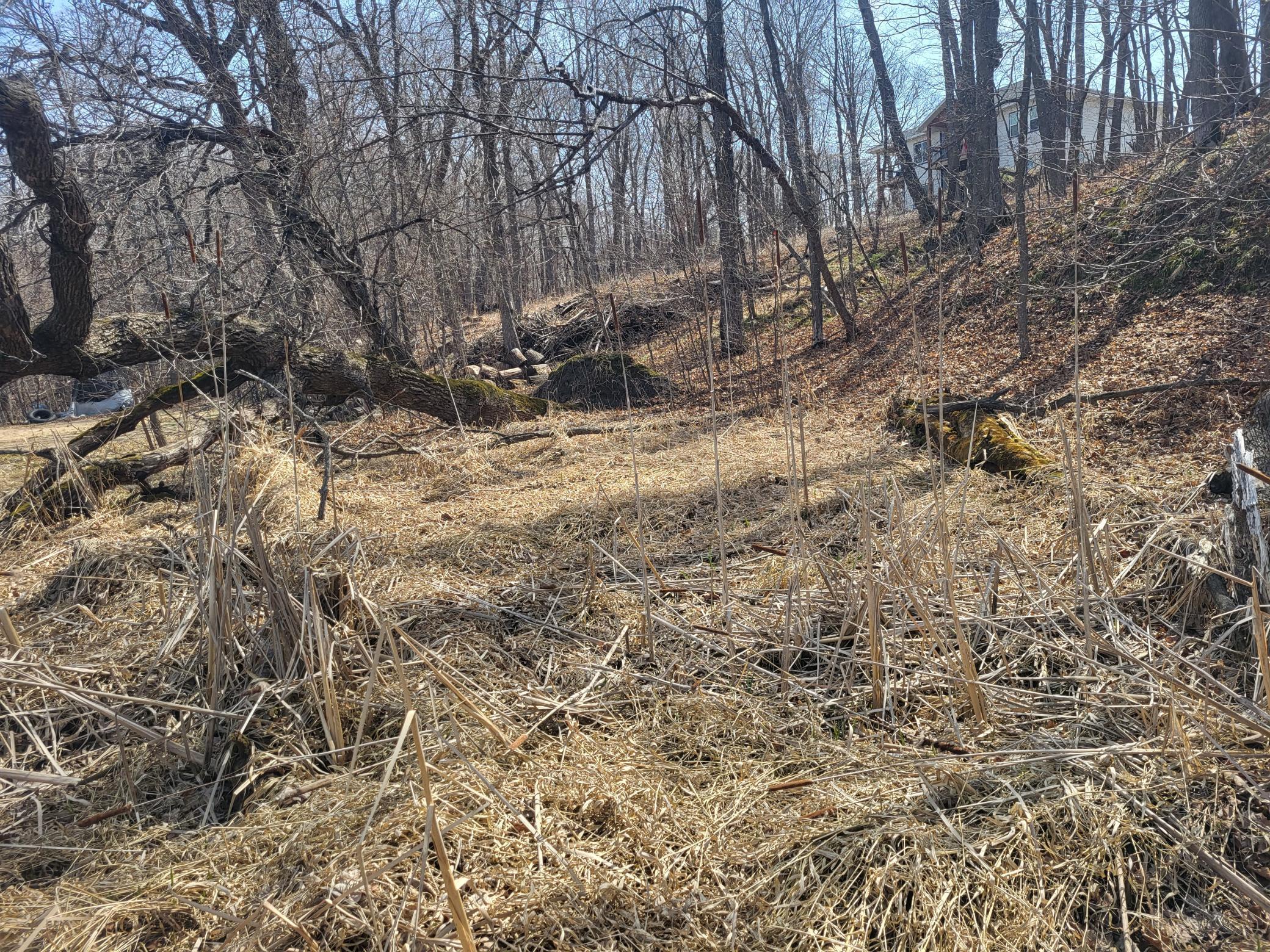 Lot 4 River Pointe Trail Property Photo 18