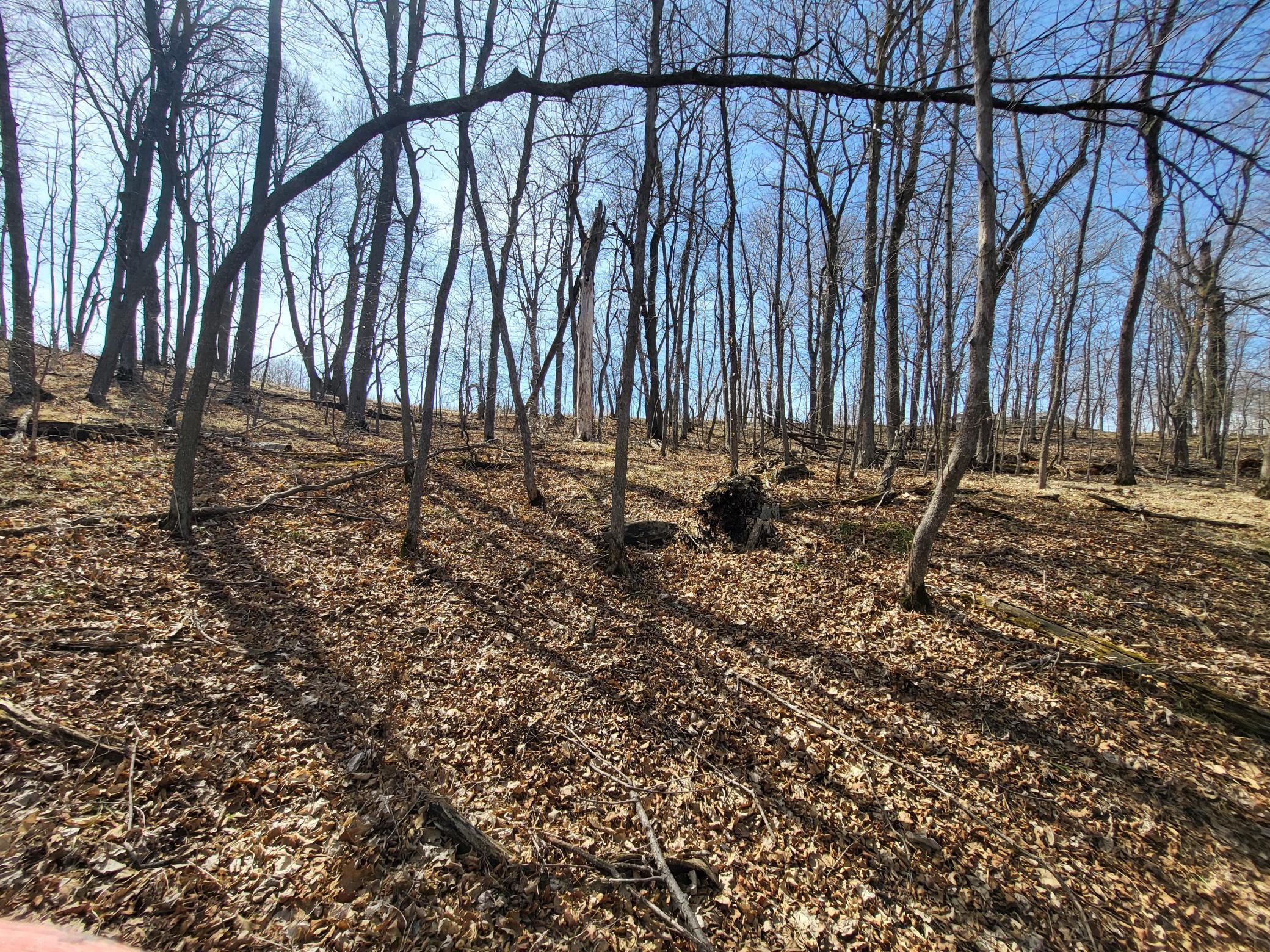 Lot 4 River Pointe Trail Property Photo 20