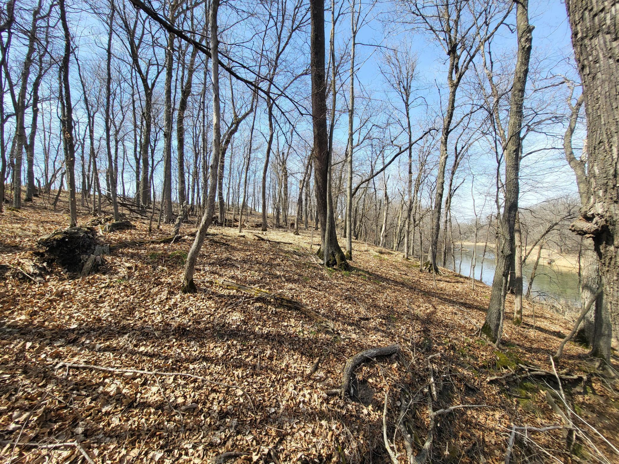 Lot 4 River Pointe Trail Property Photo 21