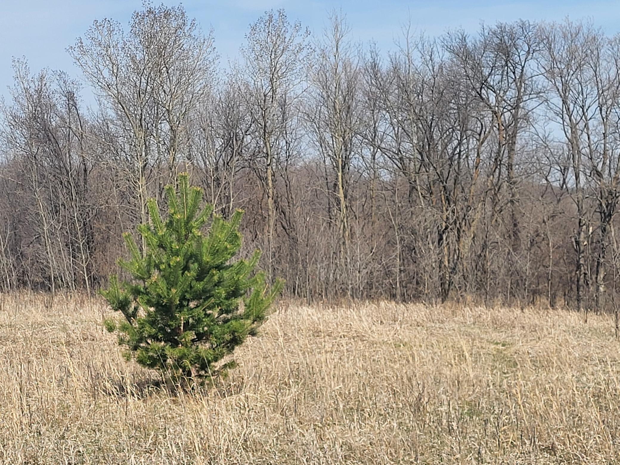 Lot 4 River Pointe Trail Property Photo 23