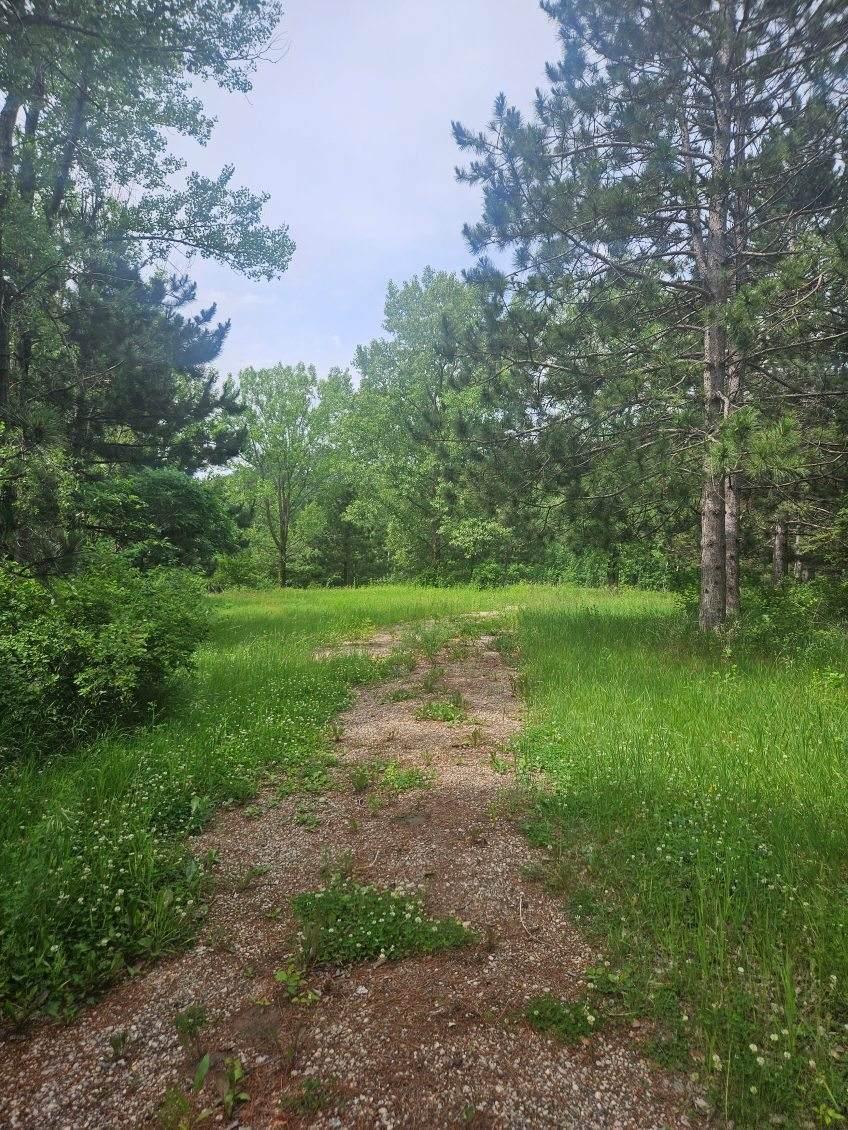 44985 400th Avenue Property Photo 3