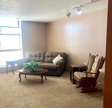 31 Chestnut Street E #5 Property Photo 12