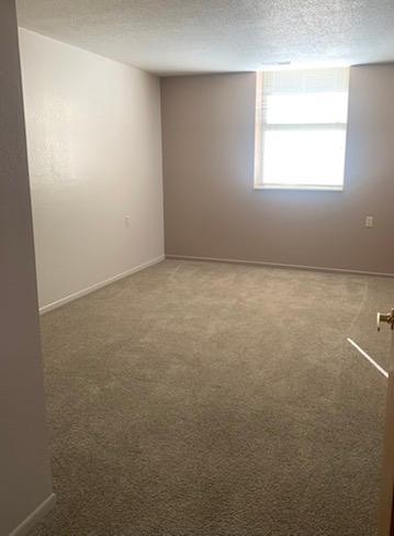 31 Chestnut Street E #5 Property Photo 16