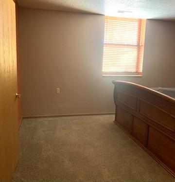 31 Chestnut Street E #9 Property Photo 15