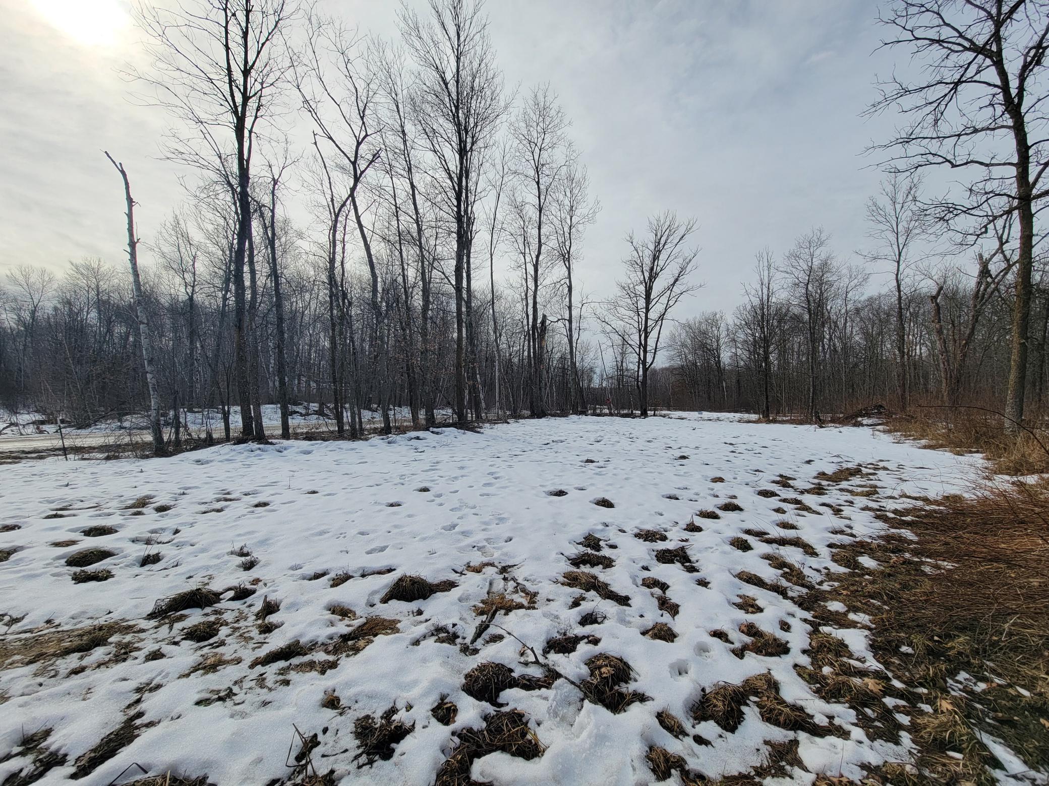 Xxxx Black Bear Drive Sw Property Photo 1