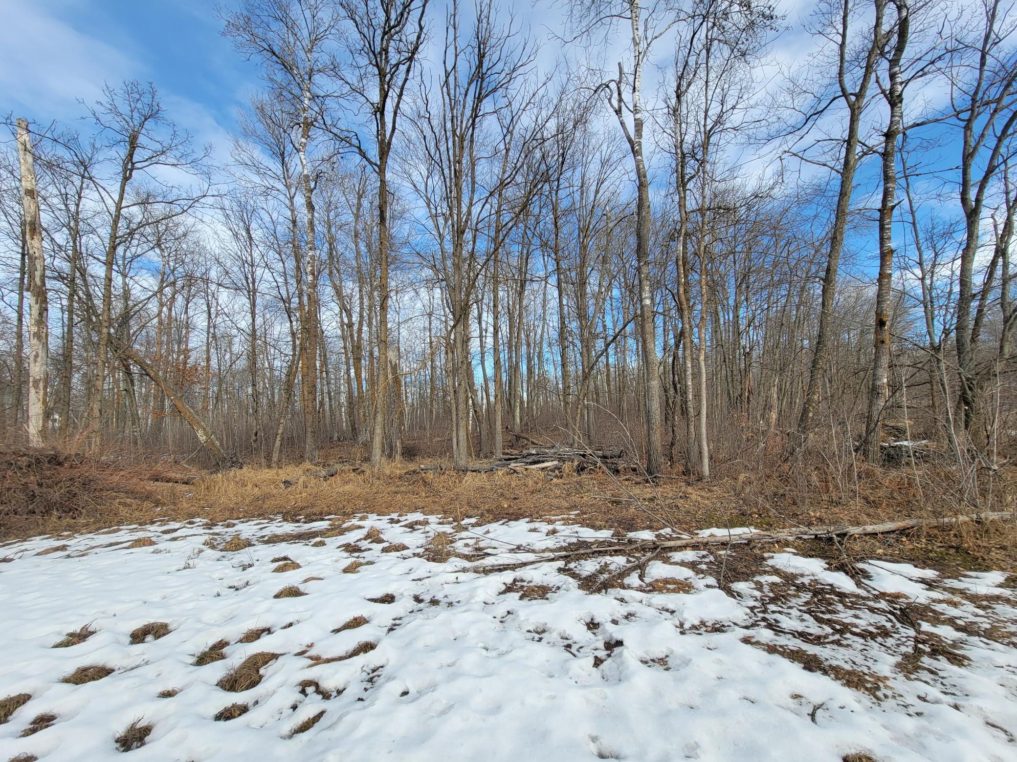 Xxxx Black Bear Drive Sw Property Photo 4