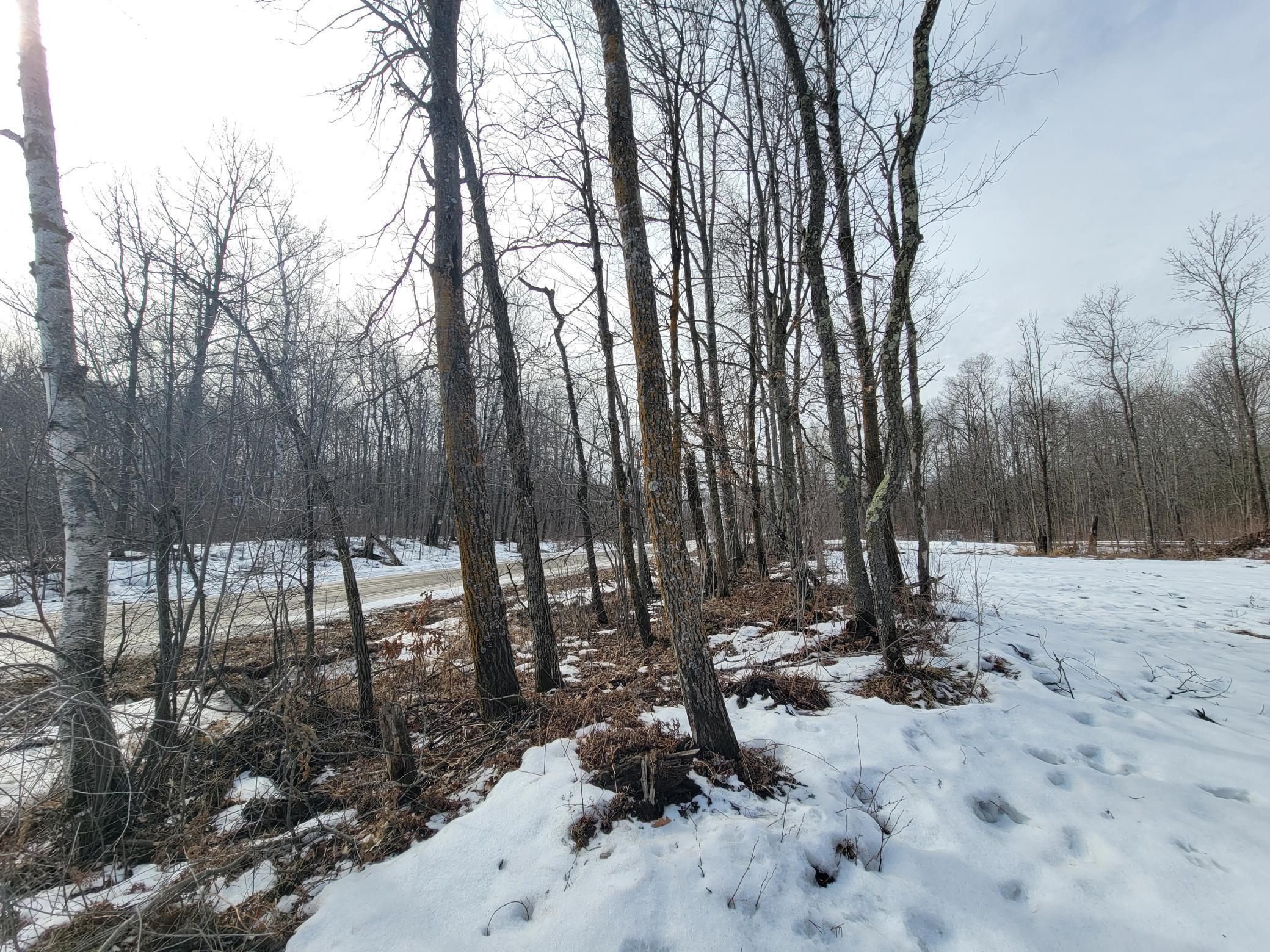 Xxxx Black Bear Drive Sw Property Photo 5