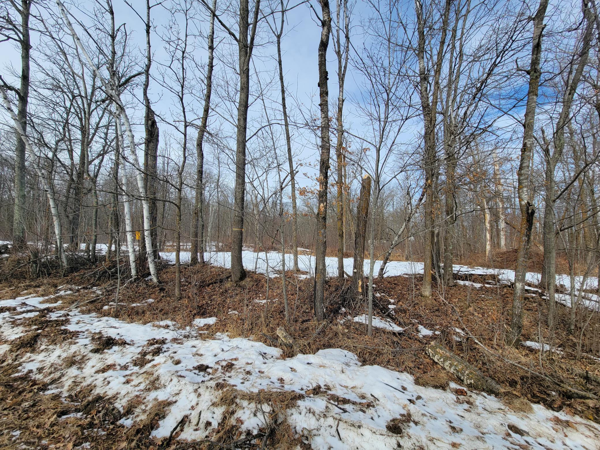 Xxxx Black Bear Drive Sw Property Photo 15