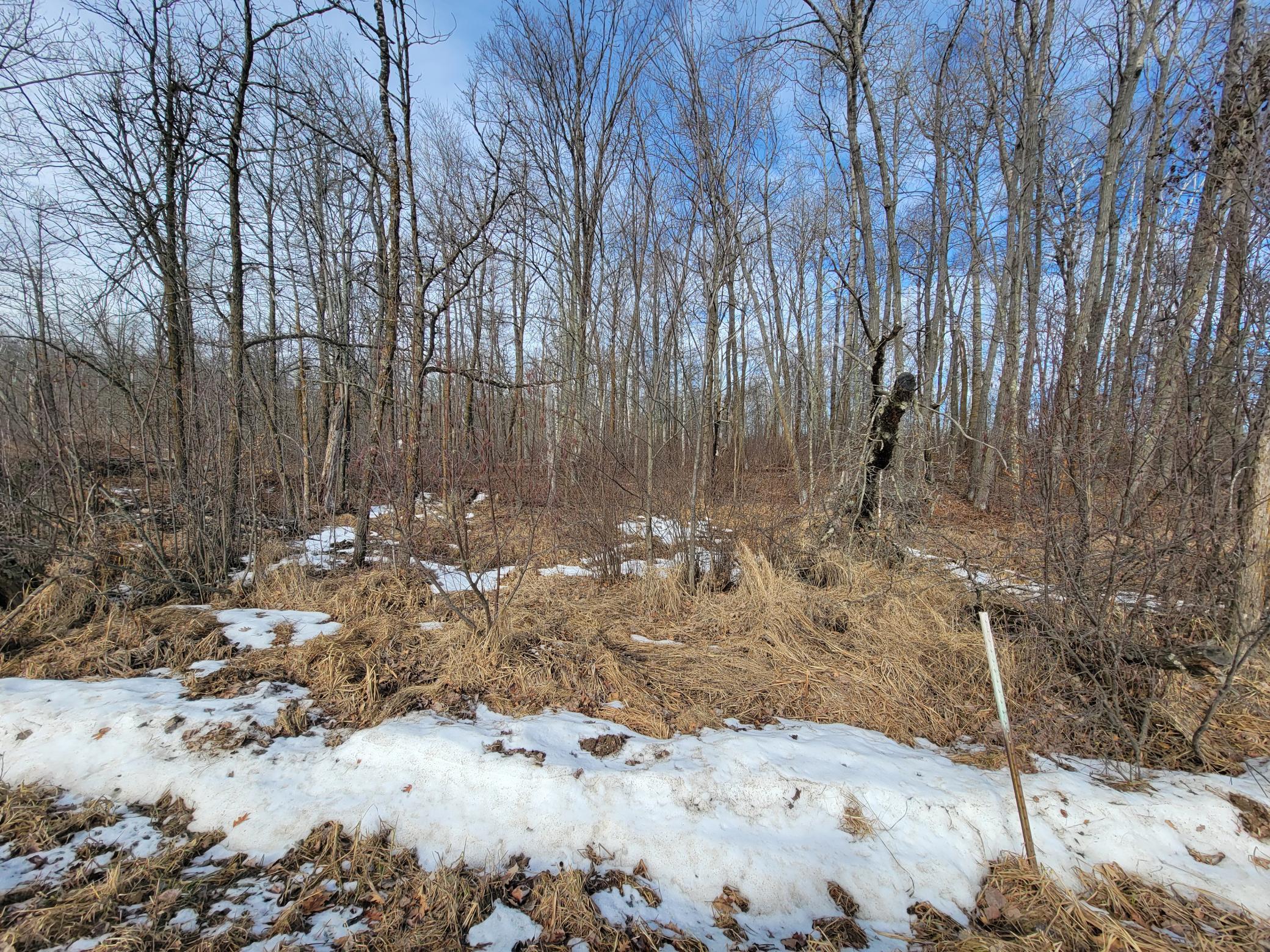 Xxxx Black Bear Drive Sw Property Photo 17