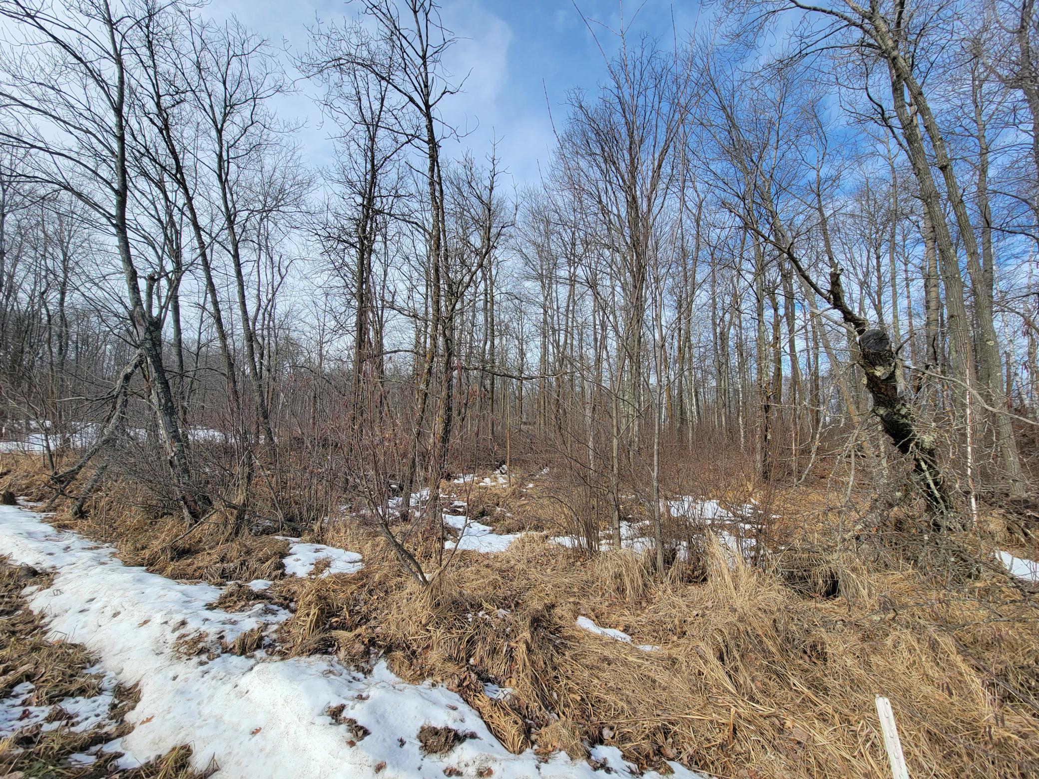 Xxxx Black Bear Drive Sw Property Photo 18